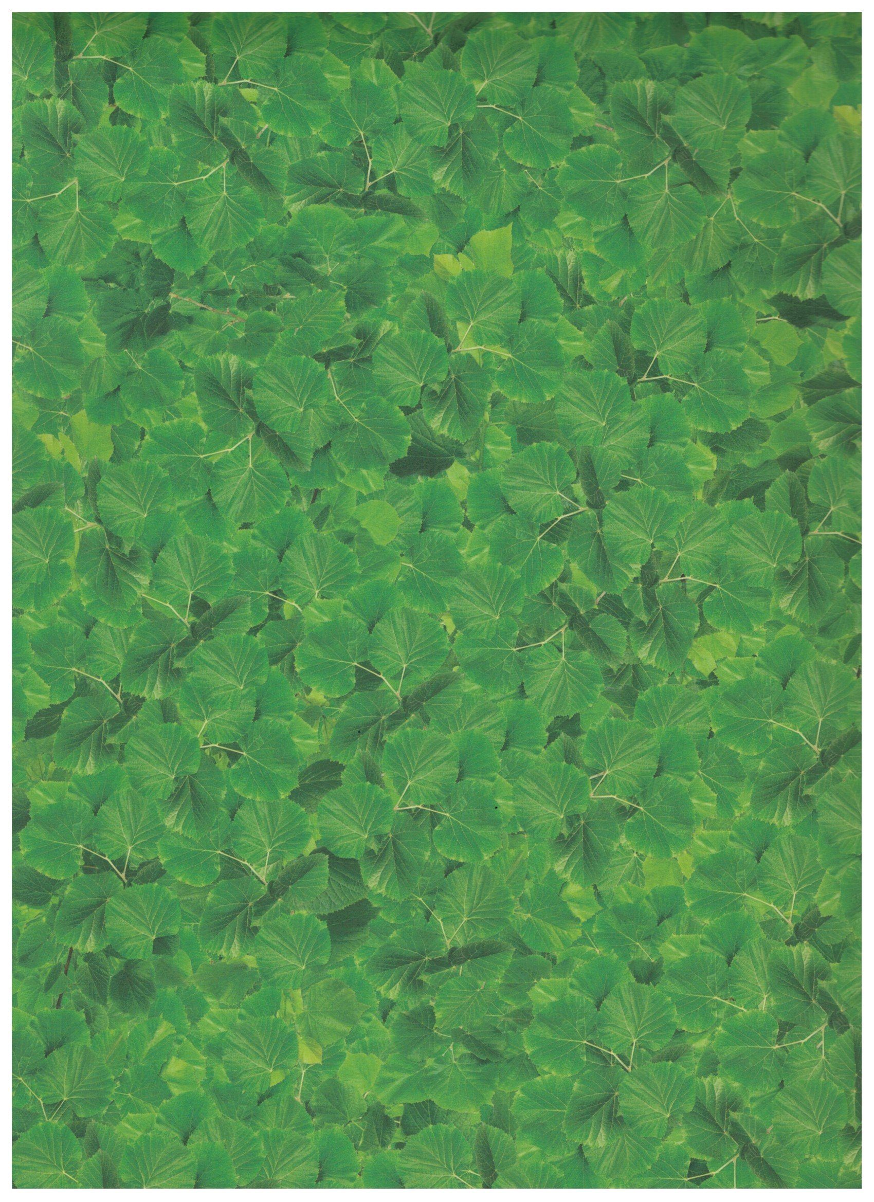 H-Erzmade Zeichenpapier Folia Bastelkarton 'Ginko-Blätter', (B)500 x (H)70