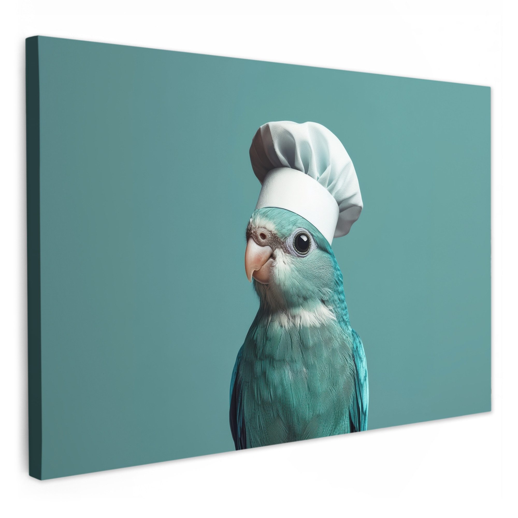 OneMillionCanvasses® Leinwandbild Wellensittich - Vogel - günstig online kaufen