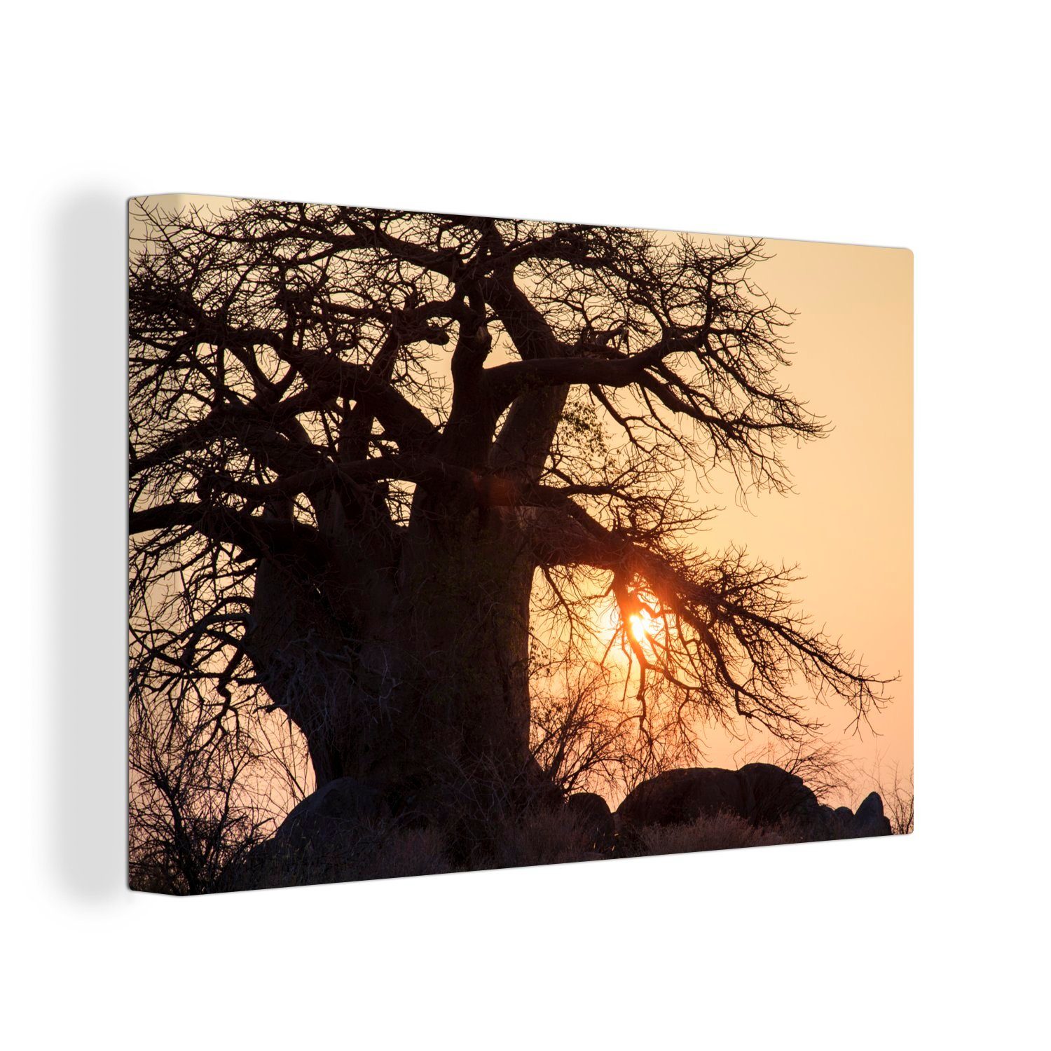 OneMillionCanvasses® Leinwandbild Großer Baobab-Baum bei Wandbild 30x20 Sonnenuntergang Leinwandbilder, St), Wanddeko, cm im Makgadikgadi Pans Aufhängefertig, (1 National