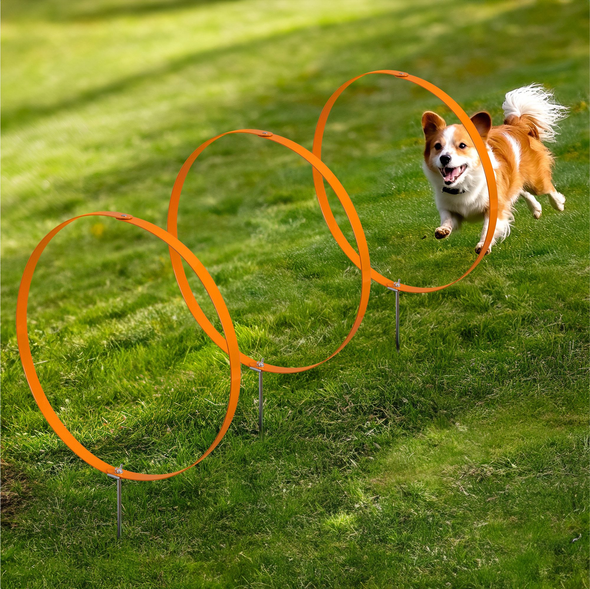 Tier-Beschäftigungsspielzeug 3x Ring Agility Set Hunde klein und mittelgroß - Hunde Agility Set