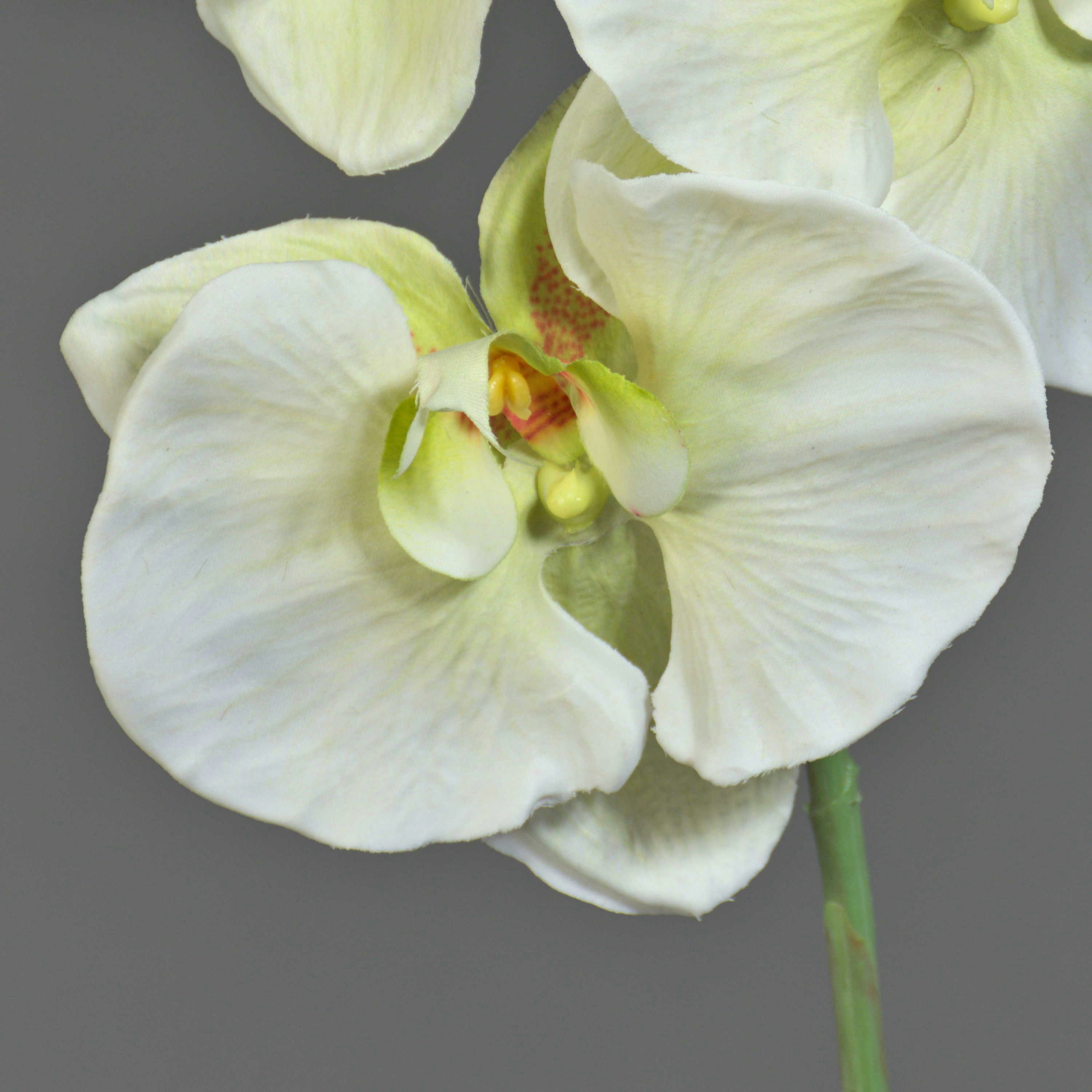 Kunstorchidee Kunststoff Phalaenopsis Orchidee WESA, weiß-grün, 100cm Orchidee (Orchidee phalaenopsis), artplants, Höhe 90.0 cm