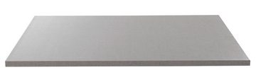 rauch Einlegeboden TENERA, B 66 x T 48 cm, Grau, Texline Dekor, (2 St), Grau, Texline Dekor, mit 4 Bodenträgern, Made in Germany