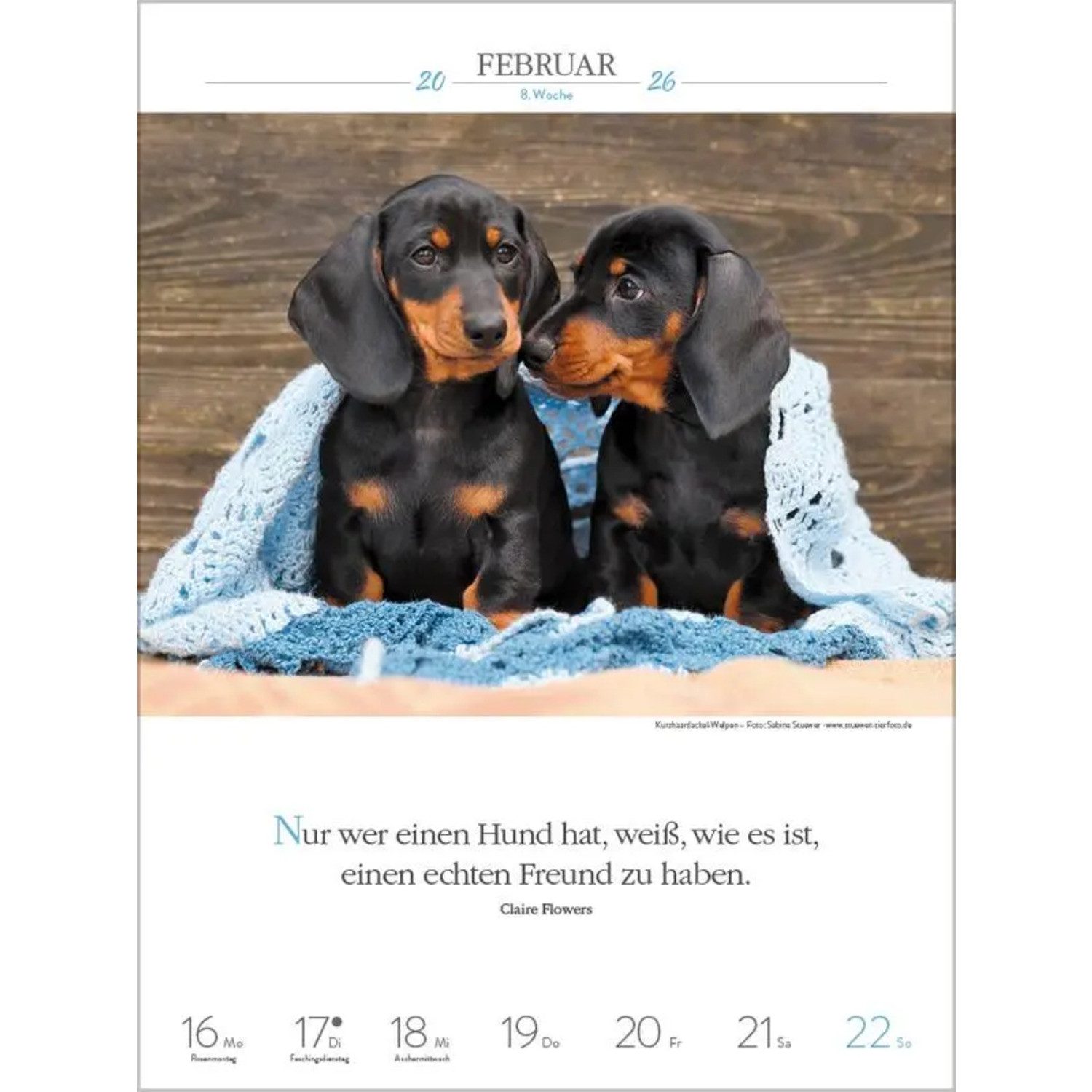 Korsch Verlag Wandkalender Literaturkalender Hunde 2026