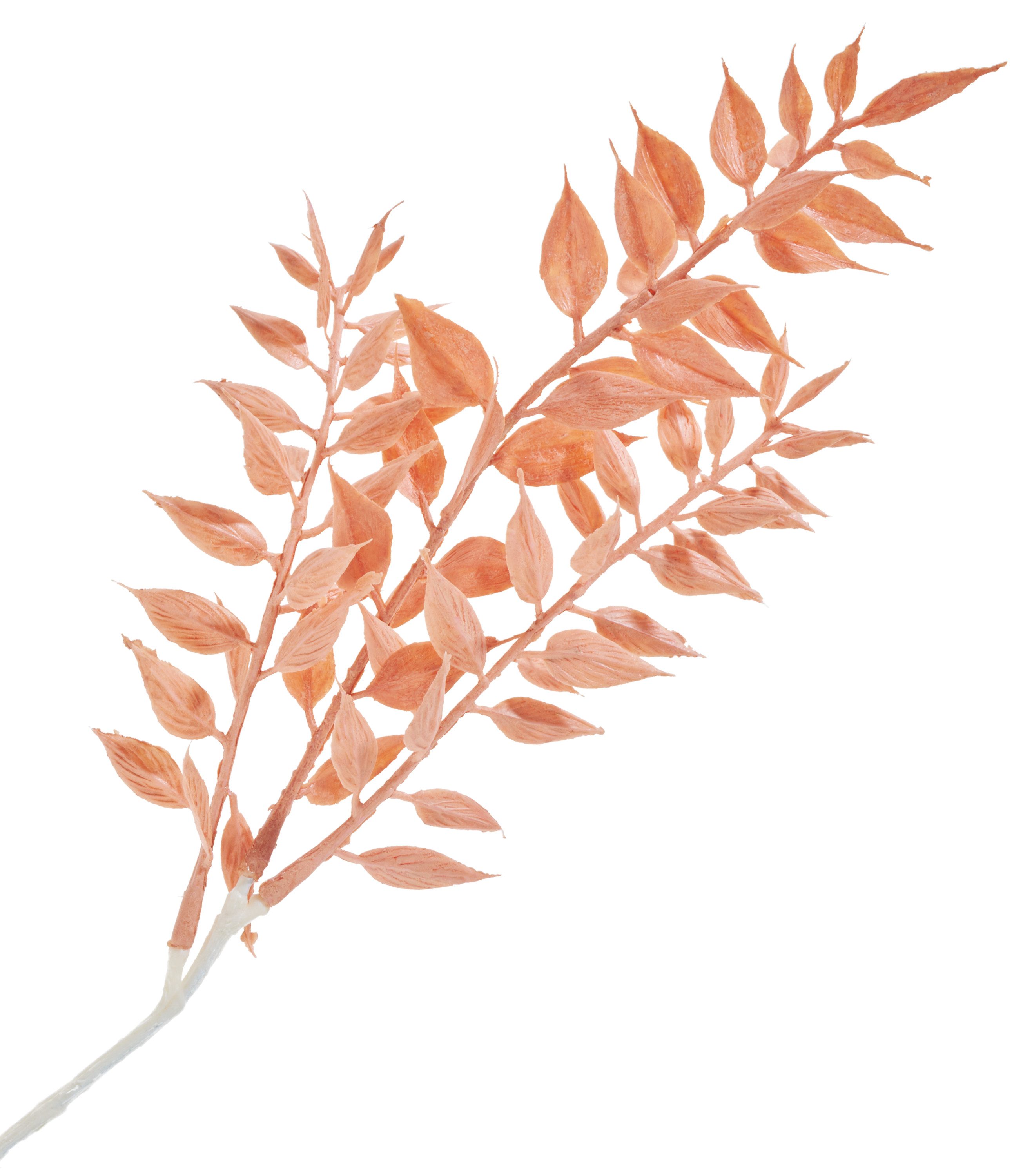 Kunstblume Ruscus