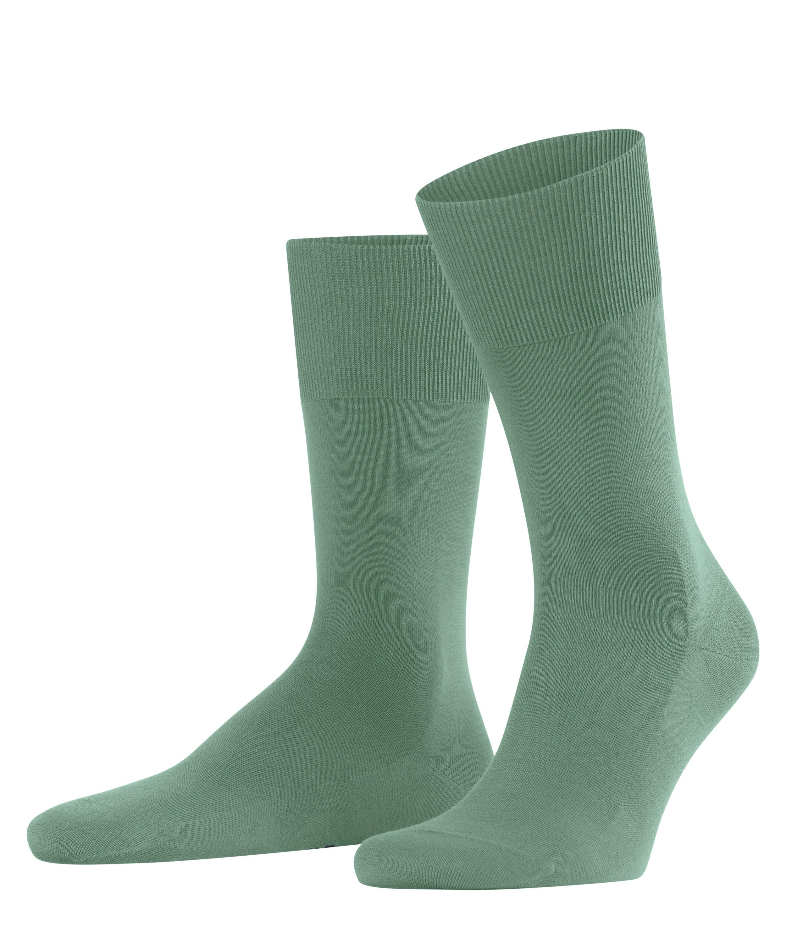 [Täglich zur Bestellung geöffnet] FALKE Socken ClimaWool (7538) (1-Paar) sage