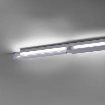 Paul Neuhaus Smarte LED-Leuchte LED Wandlampe & Deckenlampe Q - MATTEO Smart Home, Smart Home, CCT-Farbtemperaturwechsel, Dimmfunktion, Memoryfunktion, mit Leuchtmittel, CCT Farbtemperaturwechsel APP Alexa Fernbedienung