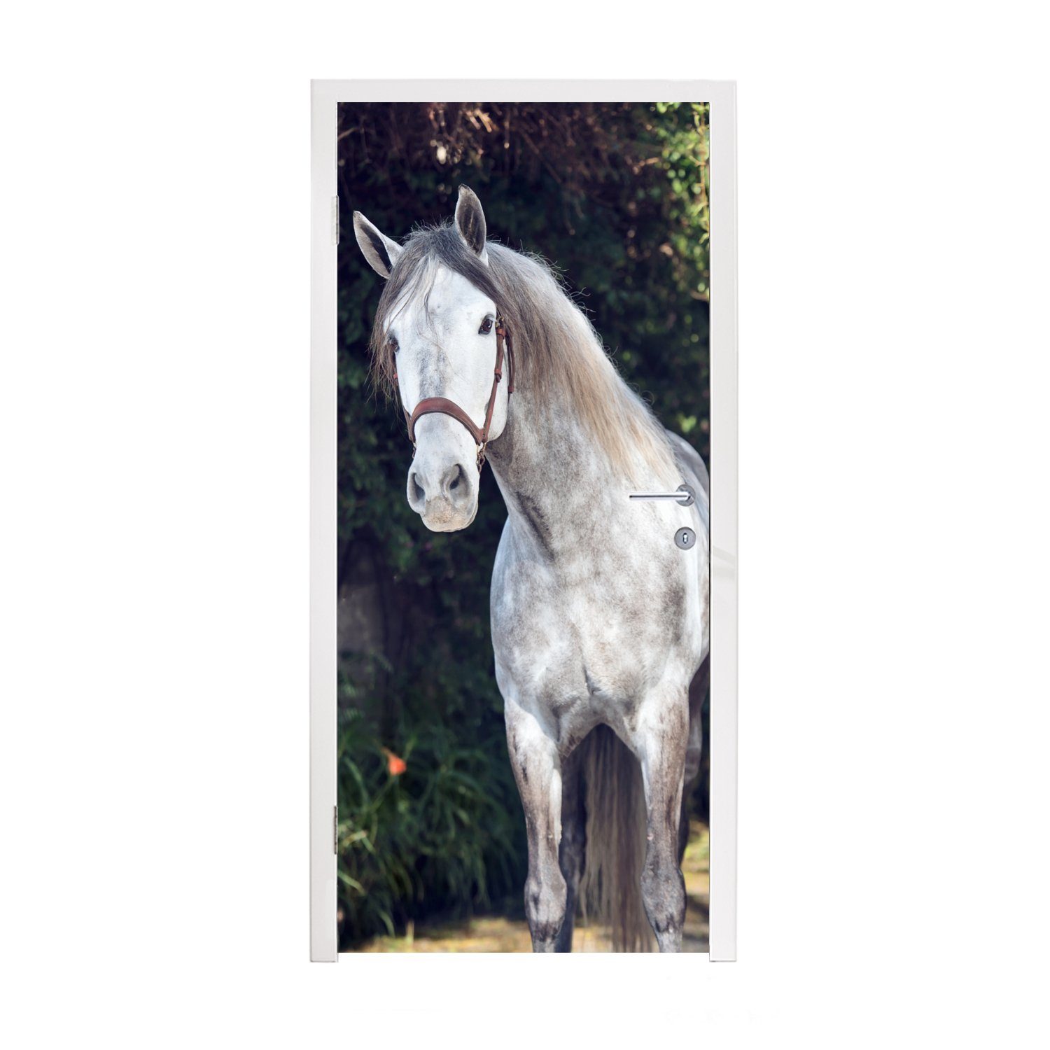 MuchoWow Türtapete Pferd - Halfter - Natur, Matt, bedruckt, (1 St), Fototapete für Tür, Türaufkleber, 75x205 cm | Türtapeten