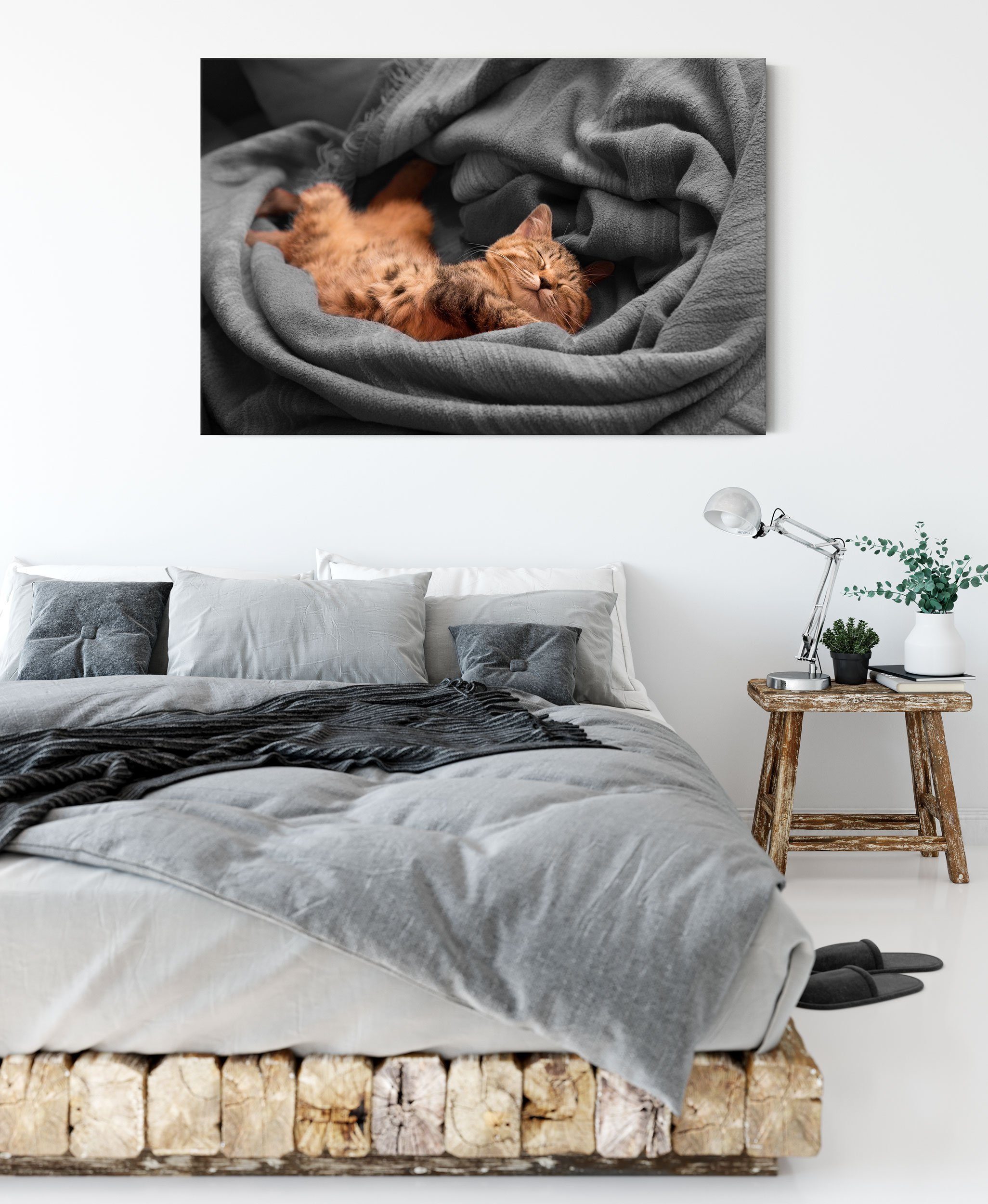 Leinwandbild inkl. bezaubernde fertig Katze, Leinwandbild schlafende bespannt, Pixxprint Zackenaufhänger (1 Katze schlafende St), bezaubernde