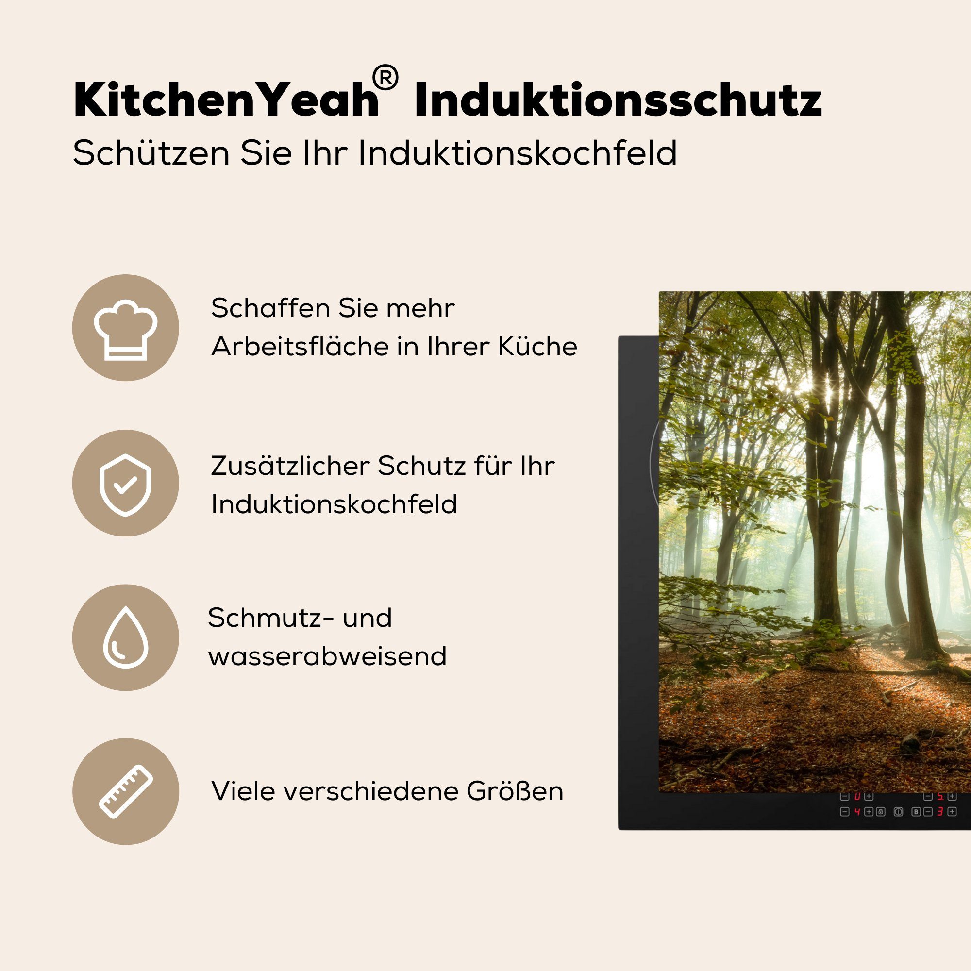 küche Vinyl, tlg), - Arbeitsplatte Landschaft, Ceranfeldabdeckung, Sonne MuchoWow (1 Wald für - Herdblende-/Abdeckplatte 81x52 - cm, Jahreszeiten
