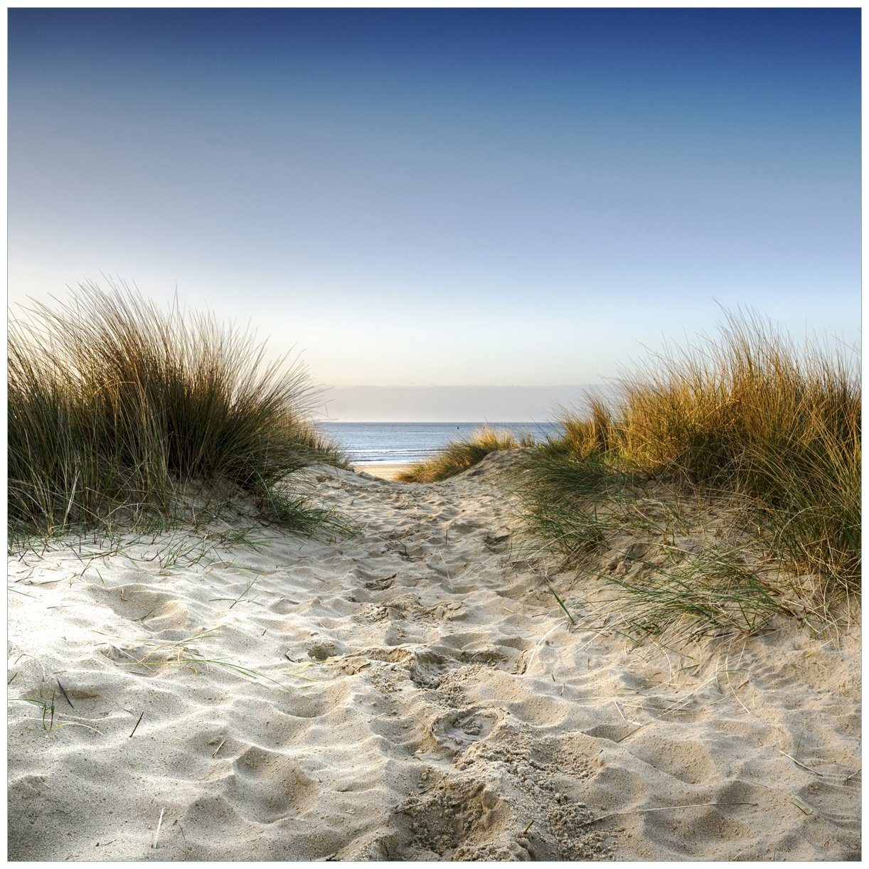 Wallario Tischplatte Weg durch die Dünen zum Strand am Meer (1 St), für Ikea Lack Tisch geeignet