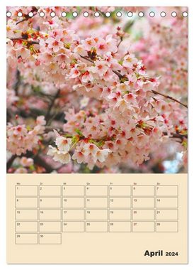 CALVENDO Wandkalender Tokio - Terminplaner (Tischkalender 2024 DIN A5 hoch)