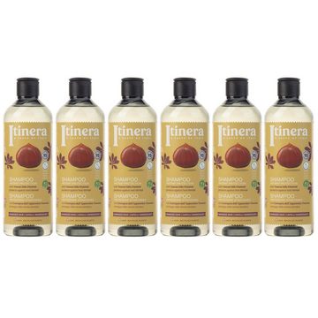 Sarcia.eu Haarshampoo ITINERA Shampoo für geschädigtes Haar, 370 ml x6, 6-tlg.