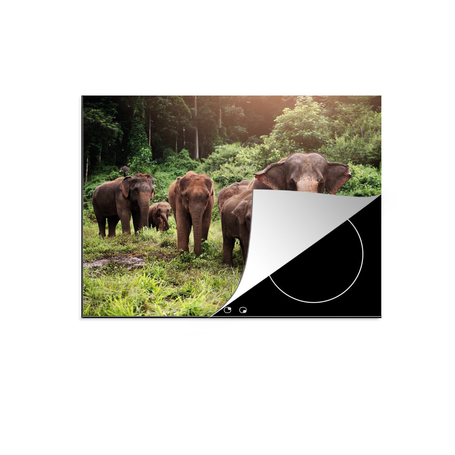 Tiere MuchoWow Grün, cm, Vinyl, für - (1 tlg), Elefant - küche, Ceranfeldabdeckung 59x52 - Herdblende-/Abdeckplatte die Wald Induktionsmatte Gras -