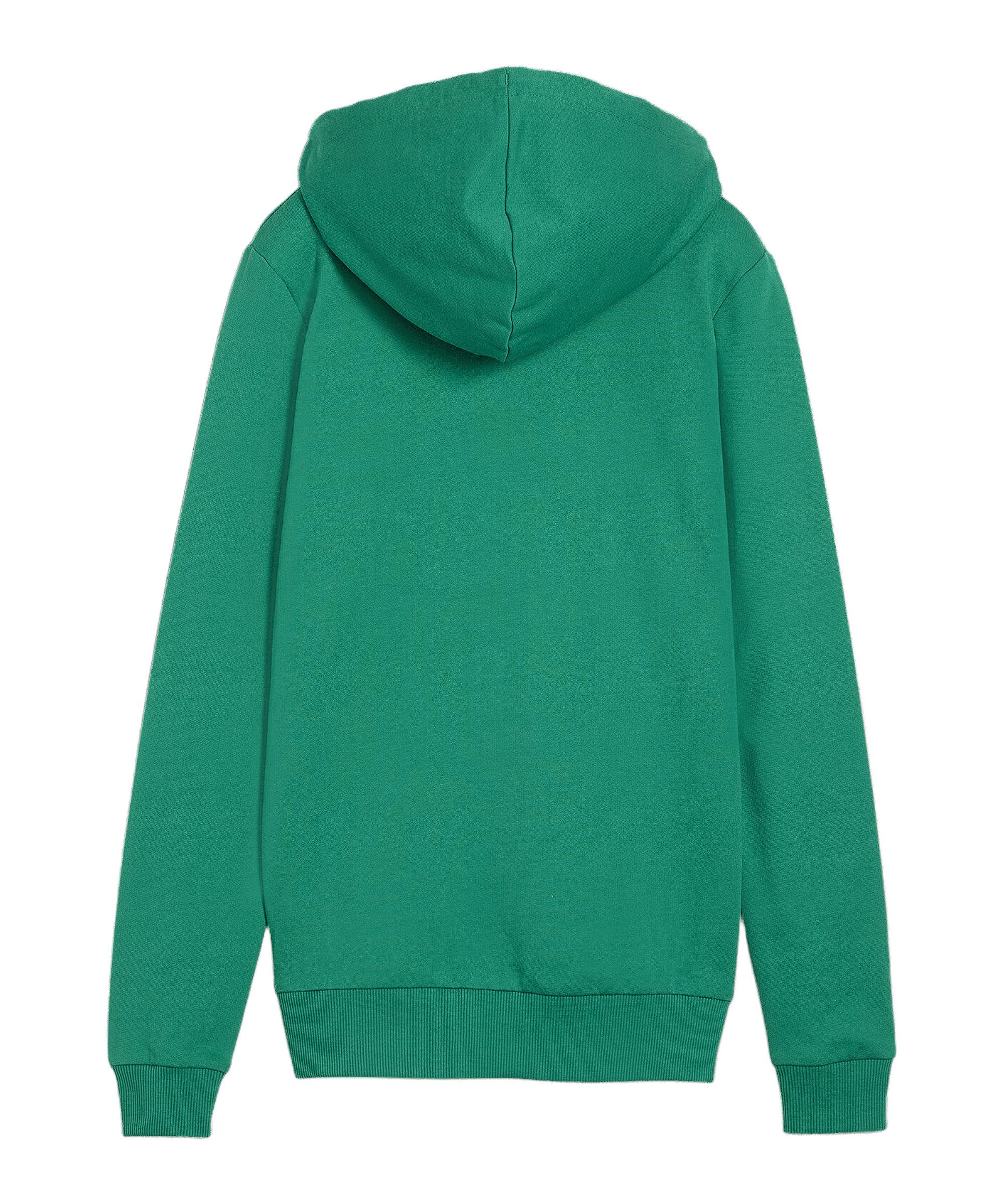 PUMA Sweater PUMA teamGOAL Casuals Hoody Damen Damen günstig online kaufen