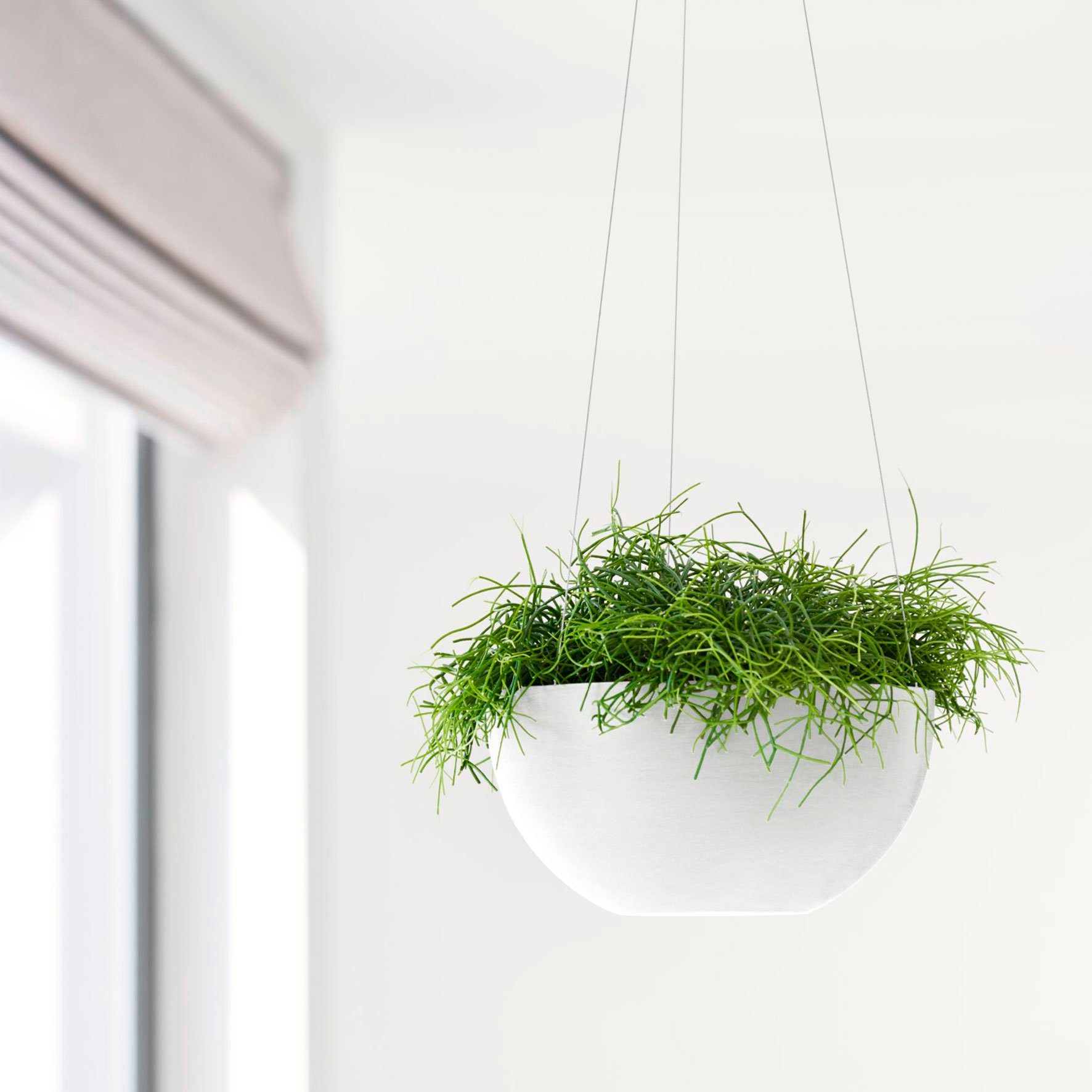 ECOPOTS Blumentopf Brussels hängend 27 Weiß, günstig online kaufen