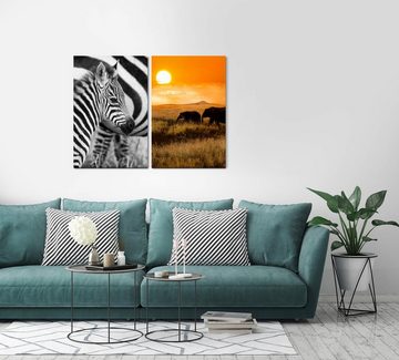 Sinus Art Leinwandbild 2 Bilder je 60x90cm Afrika Zebras Elefanten Süß Niedlich Wildnis Sonne
