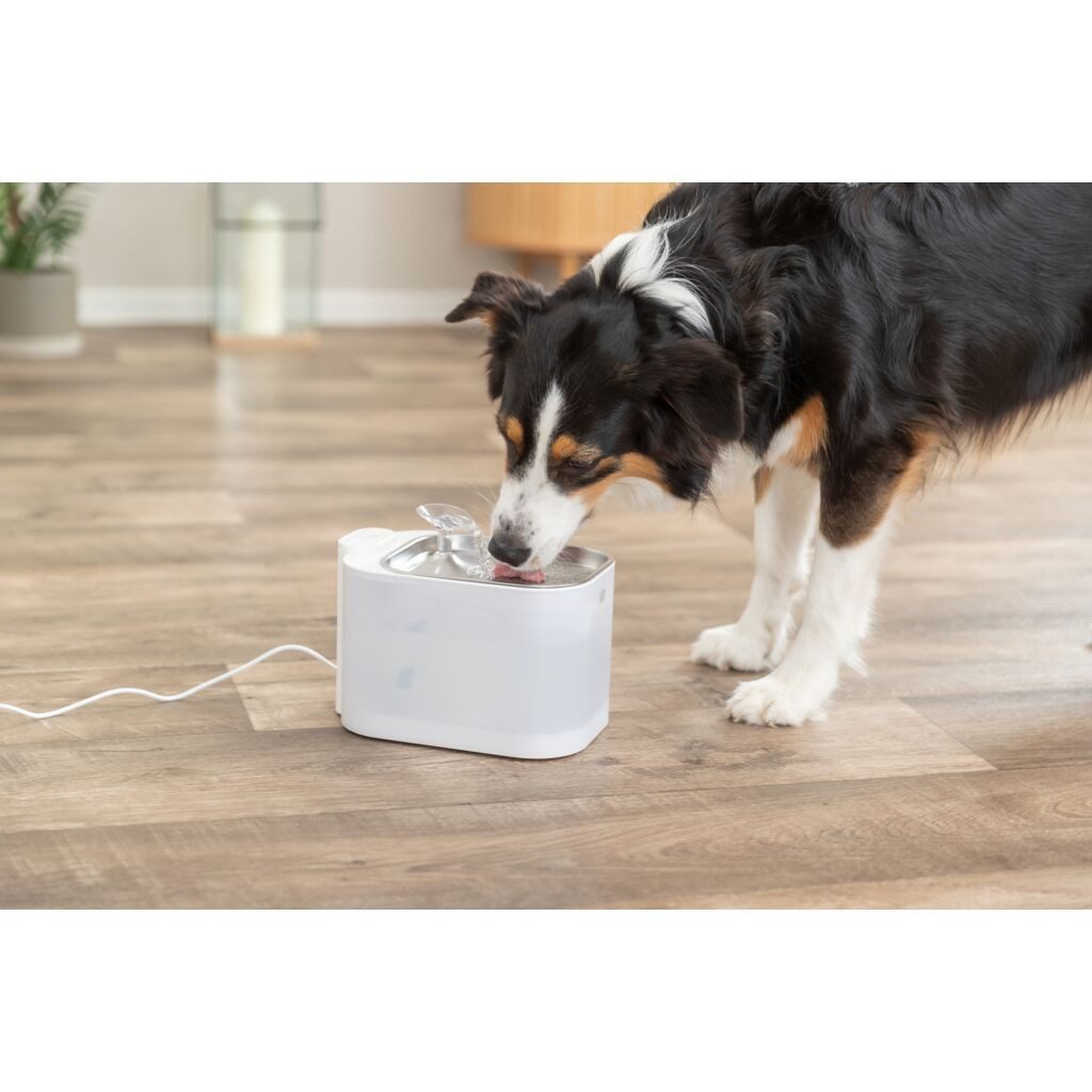 TRIXIE Hundekrawatte Aqua Square Trinkbrunnen für Hunde mit Bewegungserkennung und Edelstah, Kunststoff/ Edelstahl