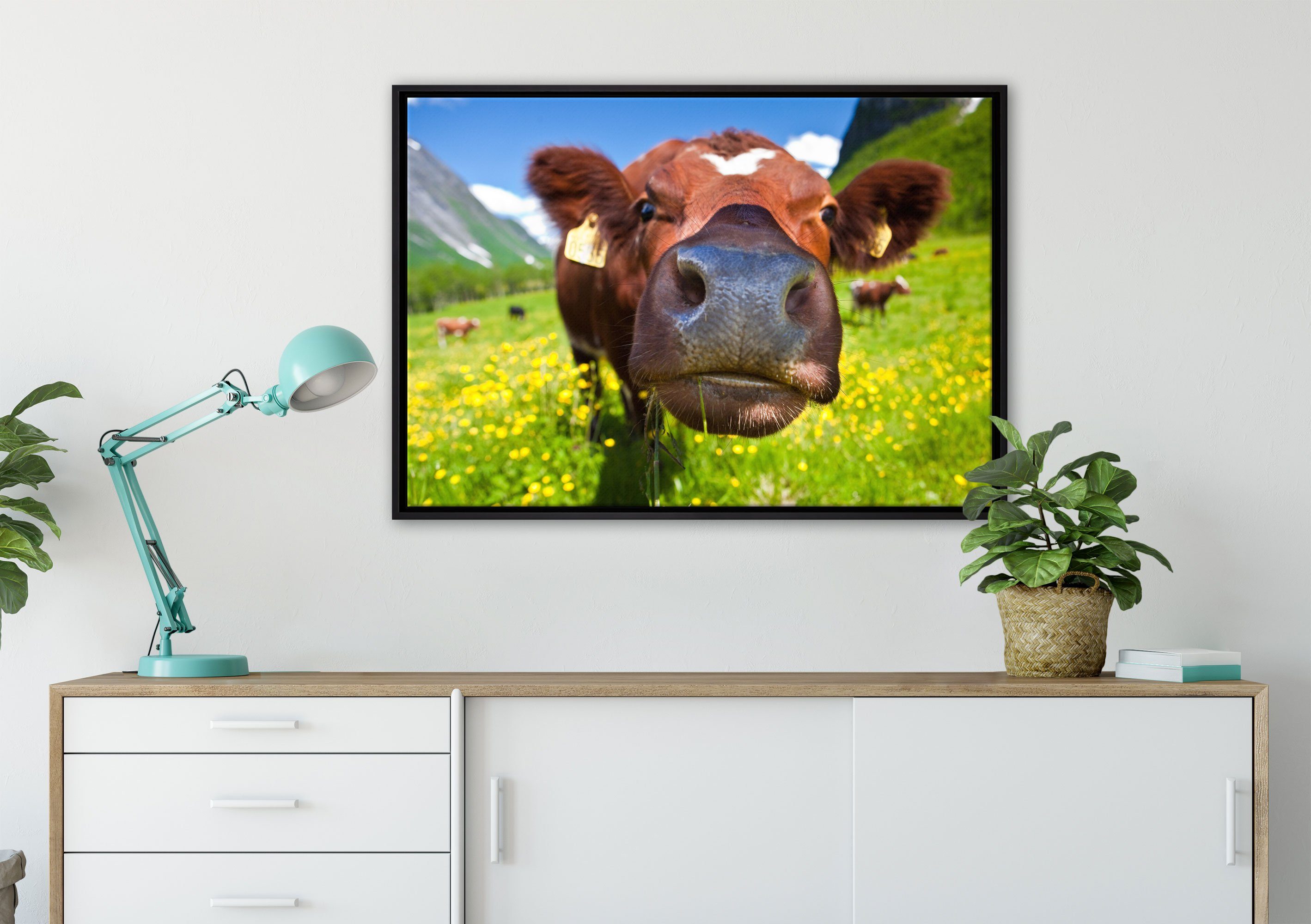 Leinwandbild St), gefasst, Leinwandbild inkl. Pixxprint in Kuh auf Alpen Zackenaufhänger einem fertig Bergwiese, Schattenfugen-Bilderrahmen bespannt, Wanddekoration (1