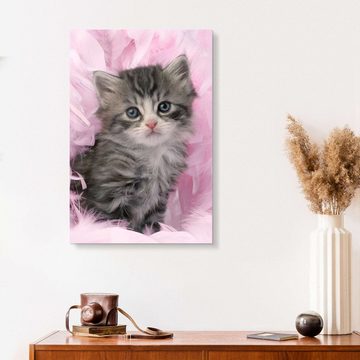 Posterlounge Acrylglasbild Greg Cuddiford, Kätzchen mit Federn, Kindermotive