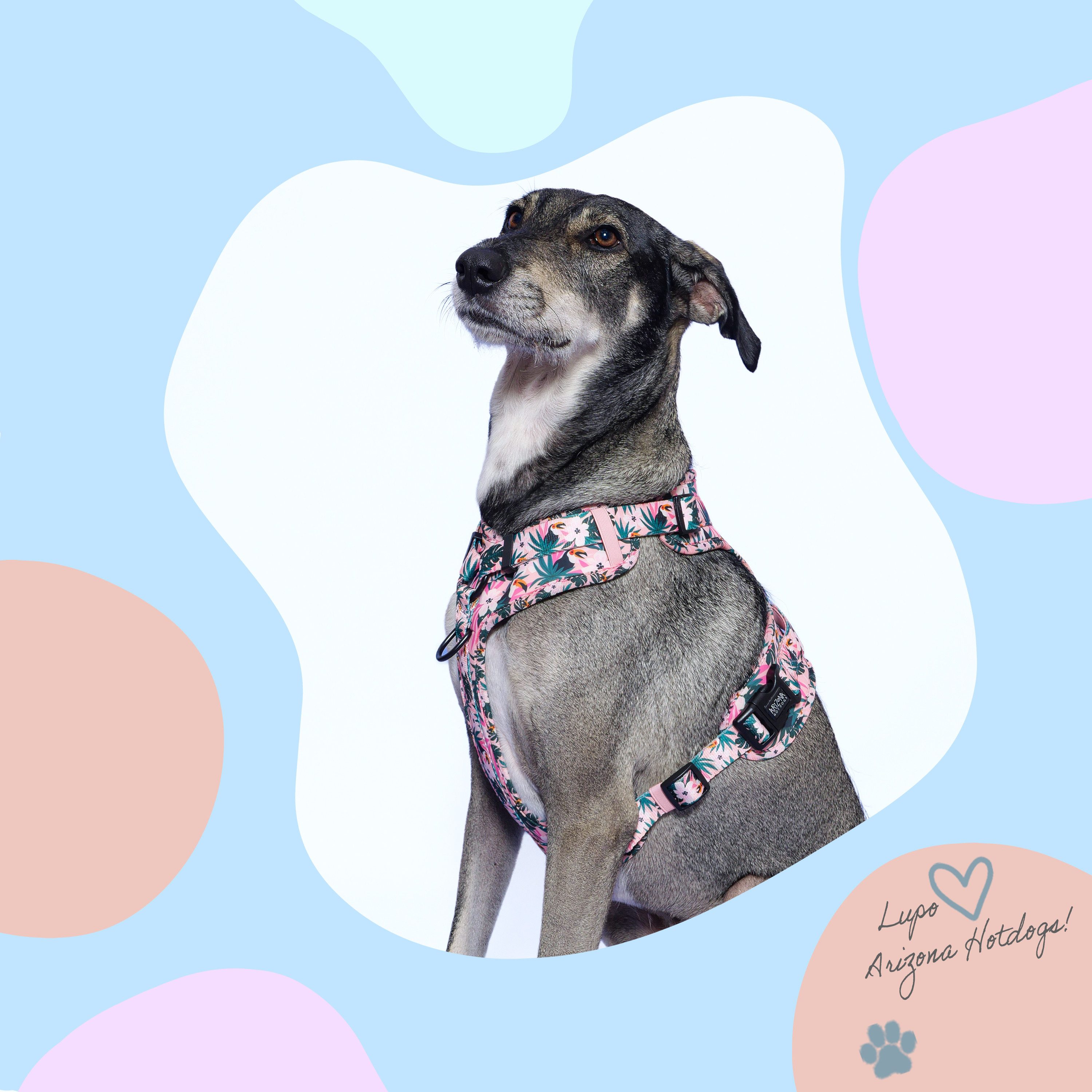 ARIZONA HOT DOGS Hunde-Geschirr Neopren Griffgeschirr Tropicool Buntes Blattmuster Pink S