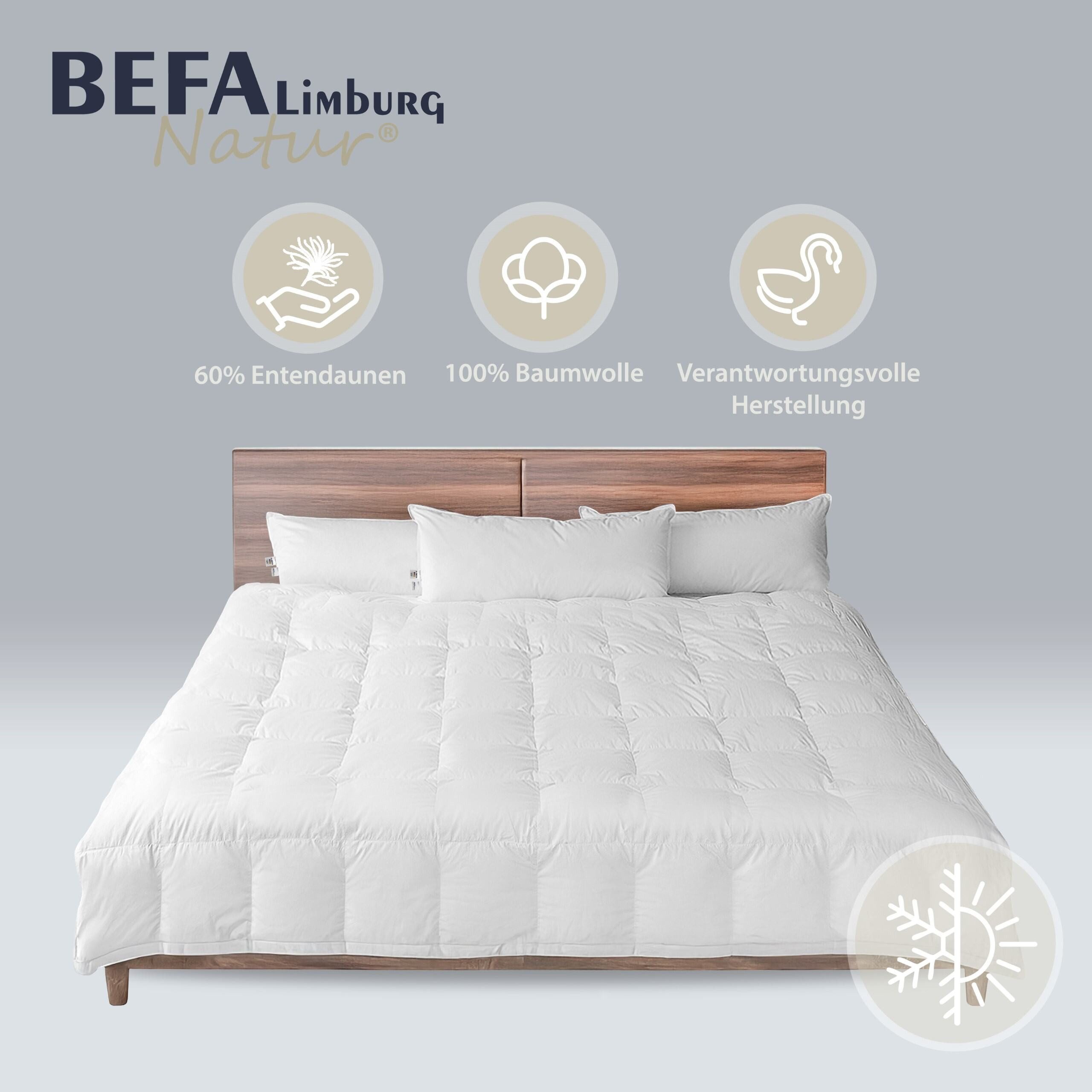 BEFA NATUR Daunenbettdecke weiche, kuschelige Premium-Ganzjahresdecke, günstig online kaufen
