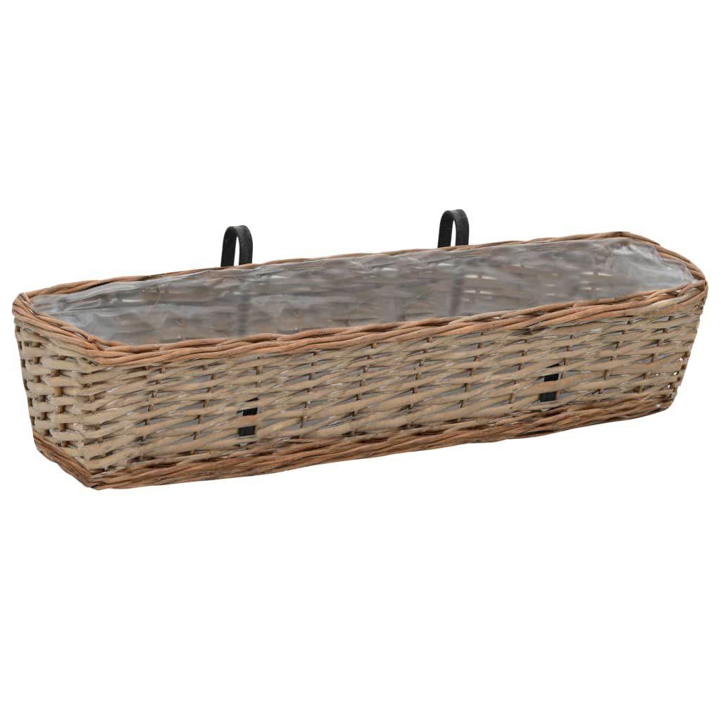 vidaXL Blumenkasten 2 St65533ck Balkon-Blumenkasten 2 Stk Weide mit PE-Auskleidung 80 cm