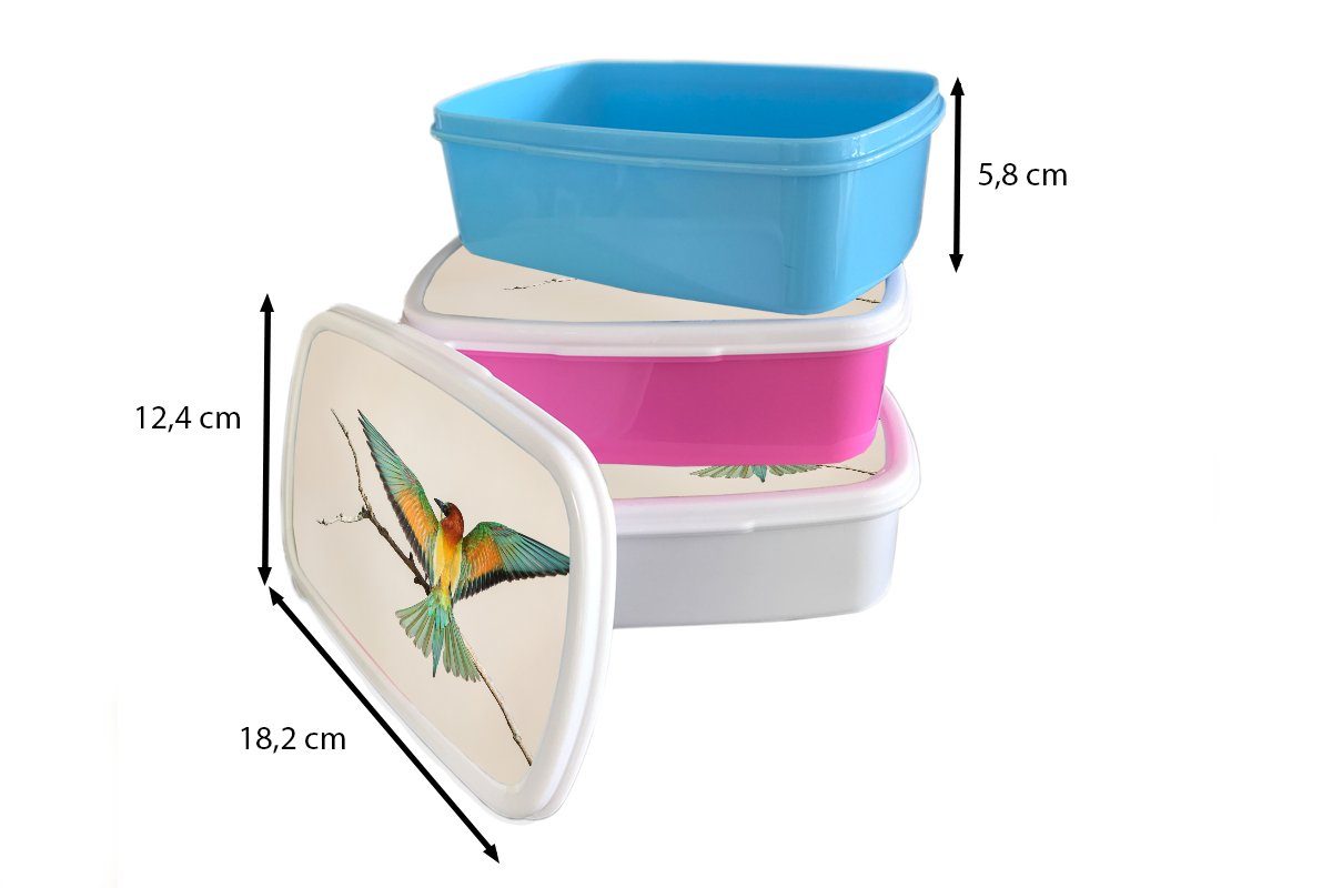 Mädchen Jungs für Grün, und für Vogel und Lunchbox Kinder Zweig Kunststoff, Erwachsene, - weiß Brotbox Brotdose, - (2-tlg), MuchoWow