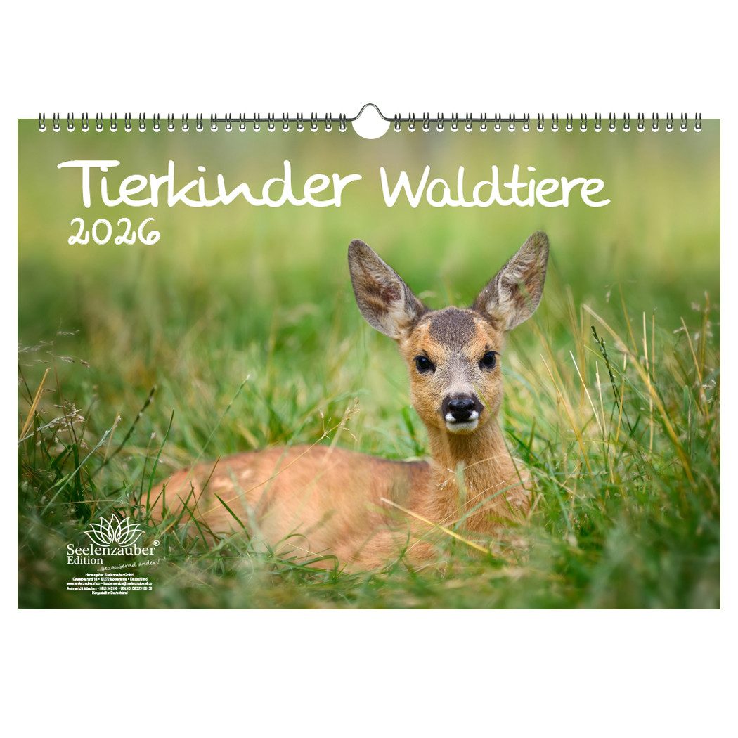 Seelenzauber Настенный календарь Tierkinder Waldtiere DIN A3 Календари für 2026 Tiere im Wald