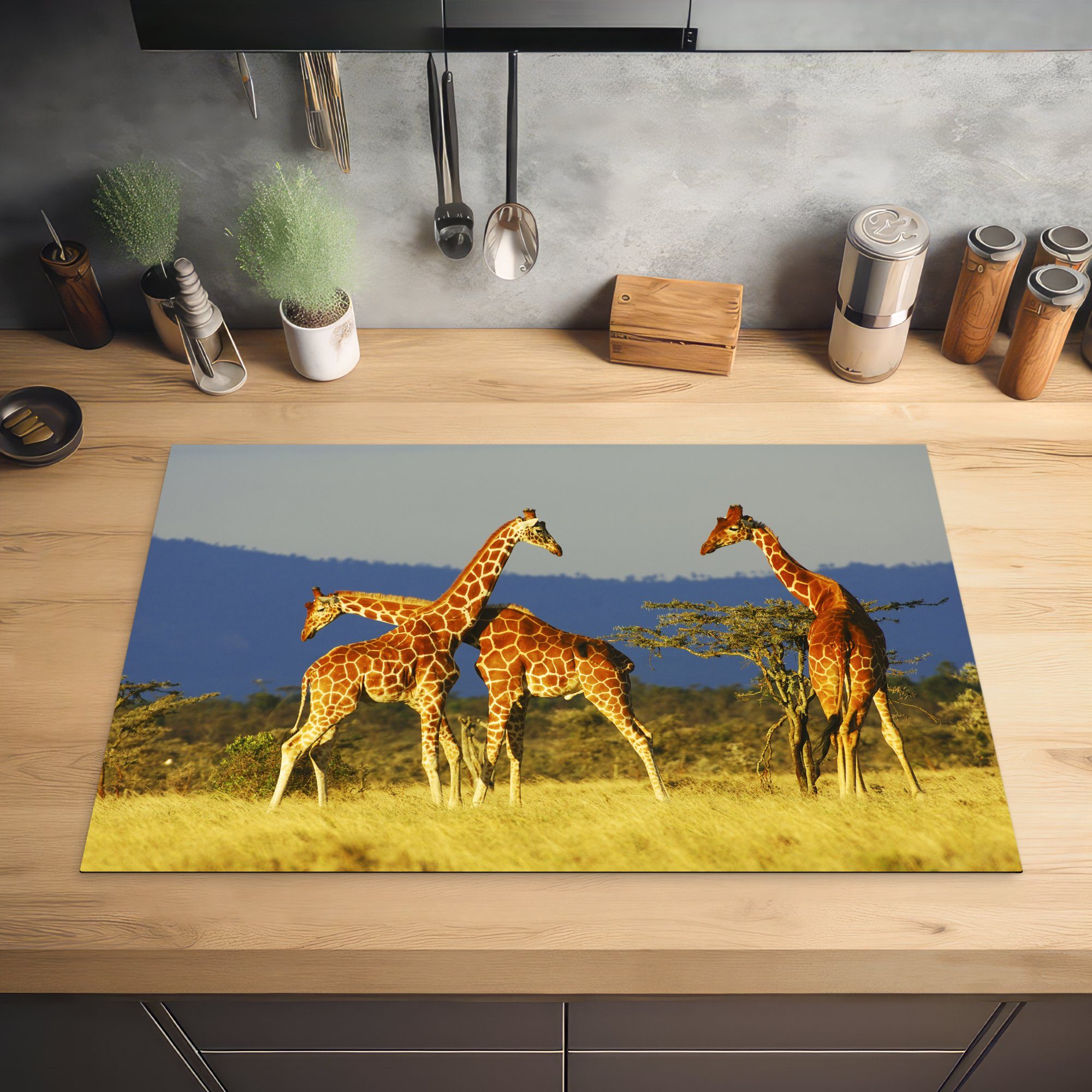 für MuchoWow cm, 81x52 tlg), (1 die einer Ceranfeldabdeckung in gelben küche, Steppe, Giraffen Herdblende-/Abdeckplatte Drei Schutz Induktionskochfeld Vinyl,