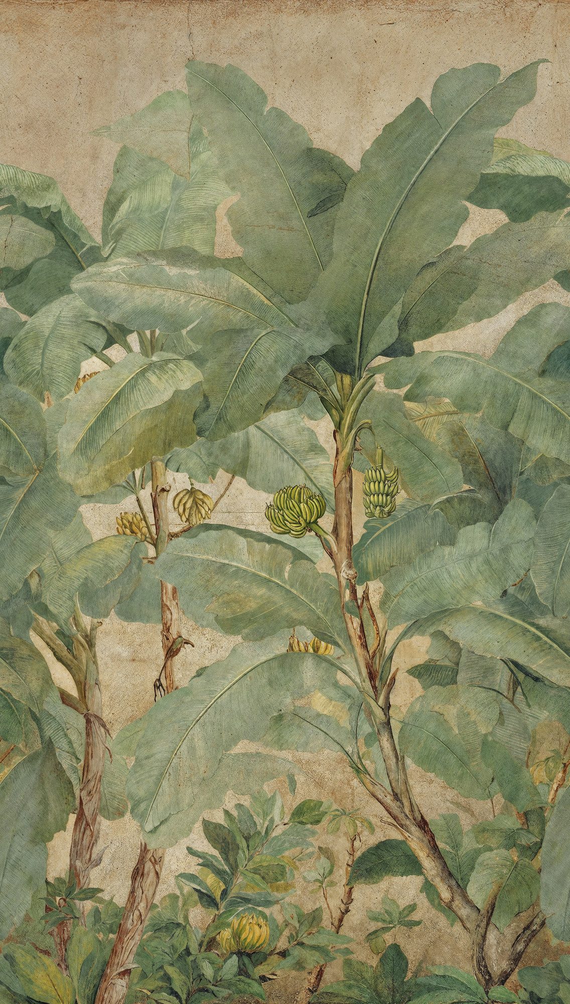 living walls Fototapete The Wall 4 Botanic – Bananenbäume im Vintage-Stil Vlies-Fototapete, leicht strukturiert, matt, tropisch, botanisch, (1 St), Bananenbäume im Vintage-Stil mit dekorativer Tiefenwirkung