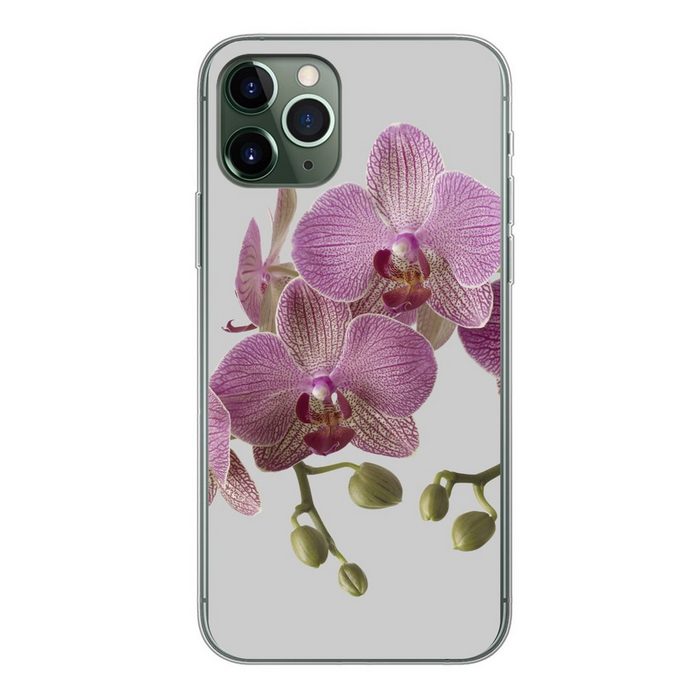 MuchoWow Handyhülle Orchideen auf grauem Hintergrund Handyhülle Apple iPhone 11 Pro Smartphone-Bumper Print Handy