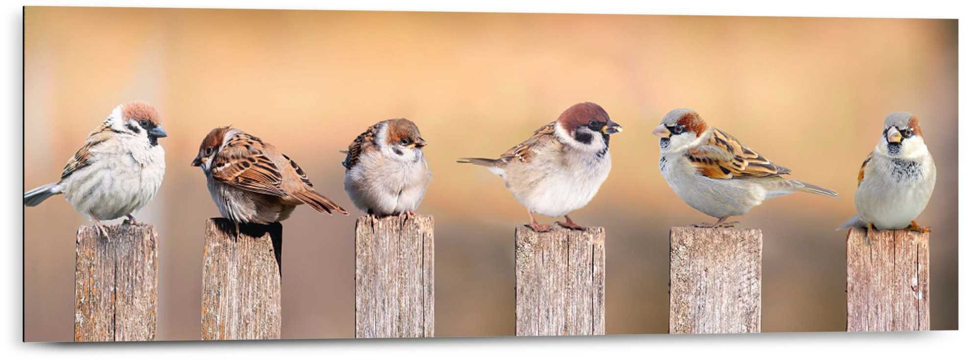 Reinders! 30x90 Panel Bird Family Holzbild Deco