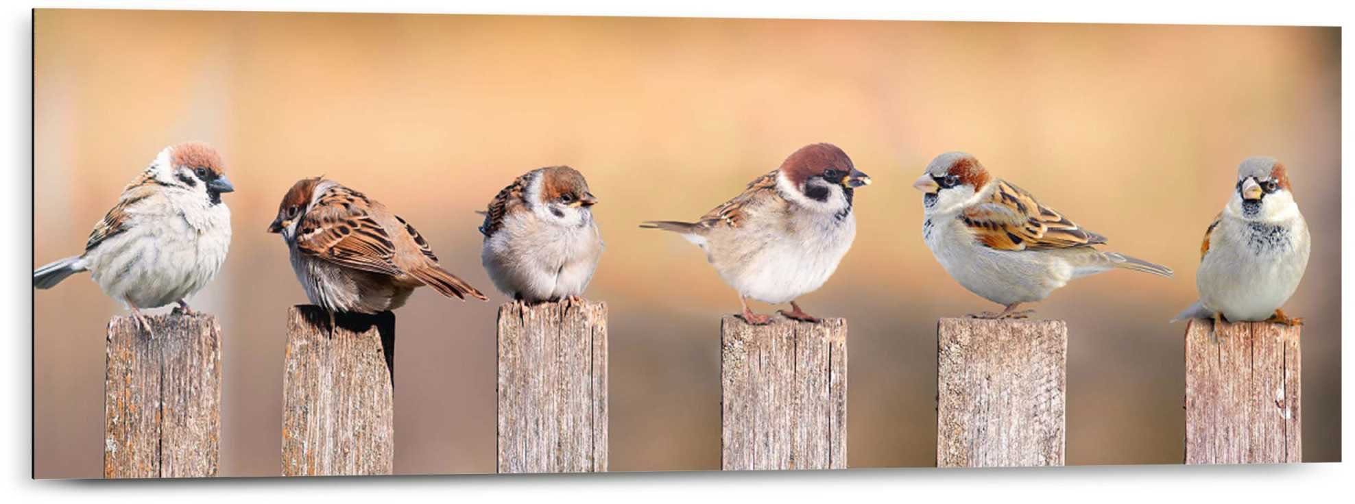 Reinders! Holzbild Deco Panel 30x90 Bird Family günstig online kaufen