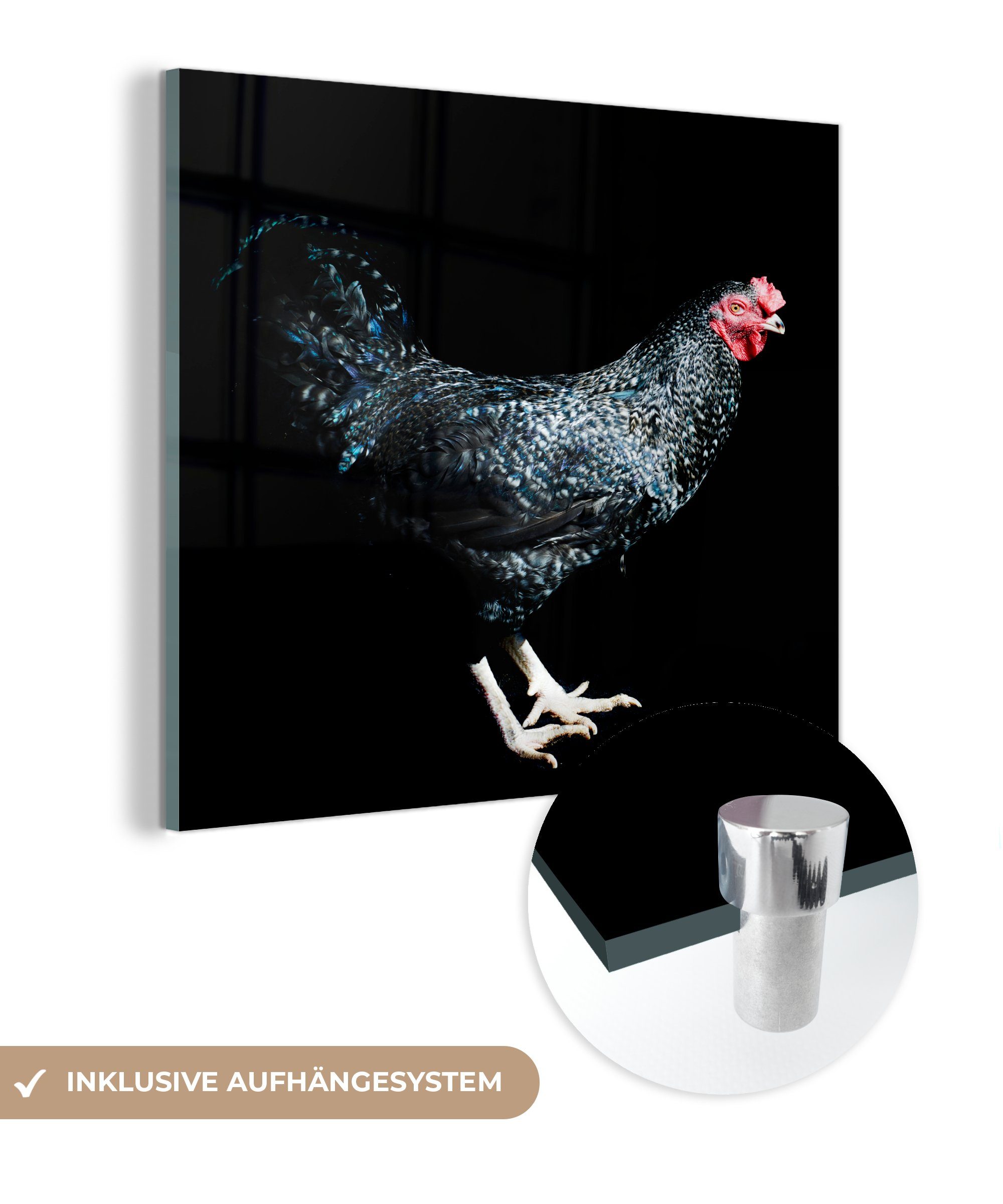 MuchoWow Acrylglasbild Dunkel gefärbtes Huhn posiert vor einem schwarzen Hintergrund, (1 St), Glasbilder - Bilder auf Glas Wandbild - Foto auf Glas - Wanddekoration