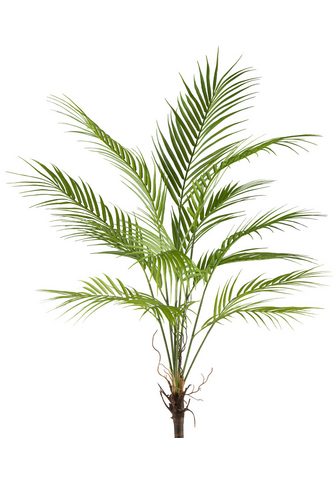  Kunstpalme Arecapalme Creativ green au...