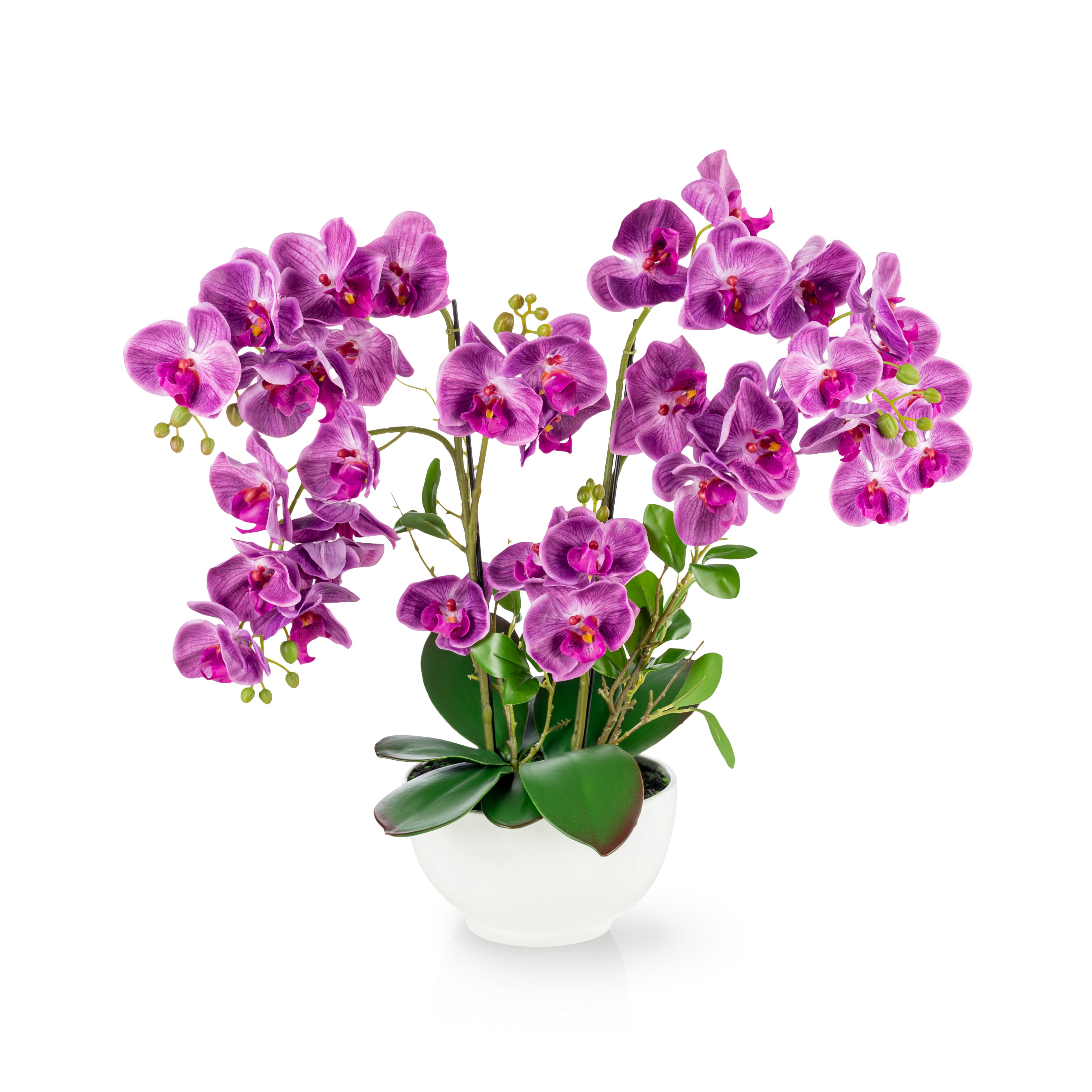 Kunstorchidee PASCH® XXL Orchidee künstlich wie echt (56cm) in Hochglanz-Ke günstig online kaufen