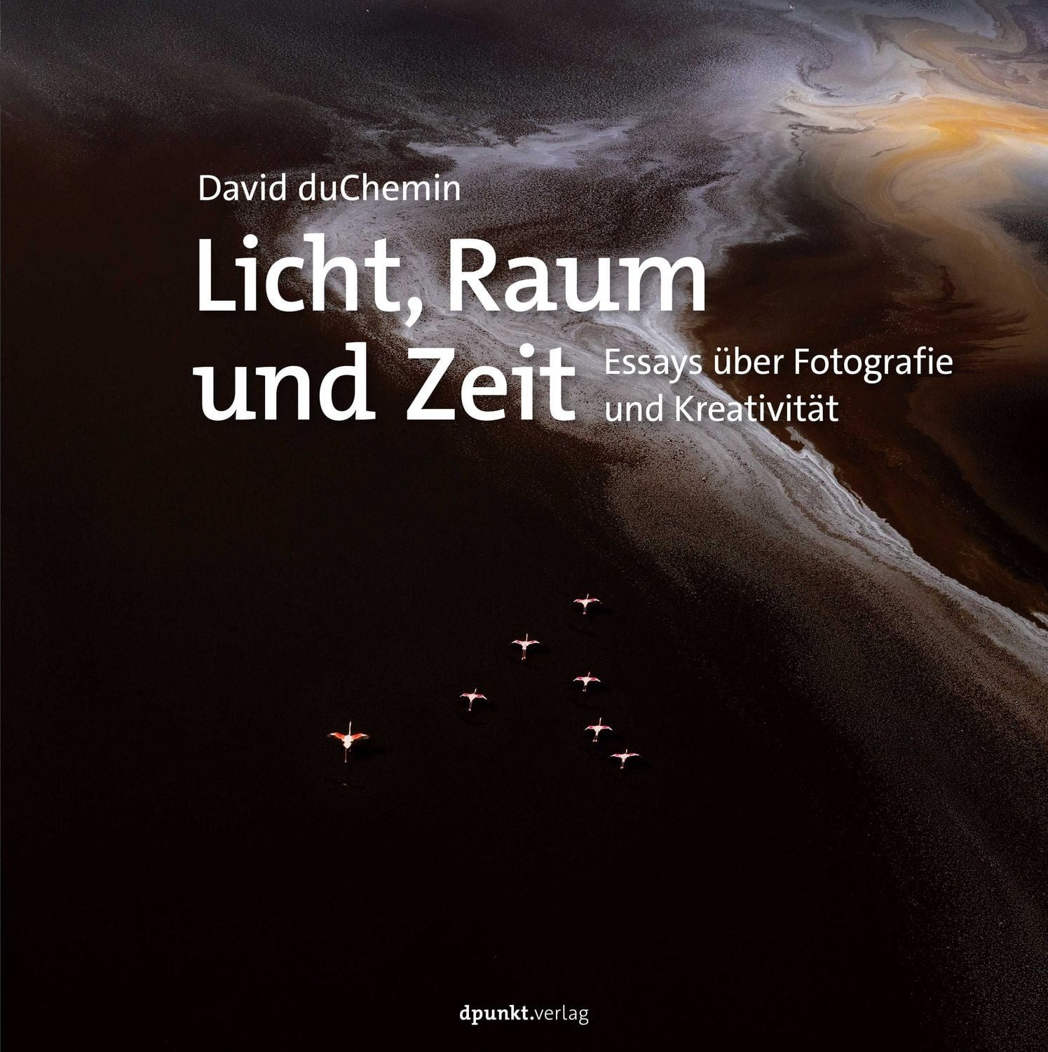 Licht, Raum und Zeit Essays über Fotografie und Kreativität / David DuChemin, X