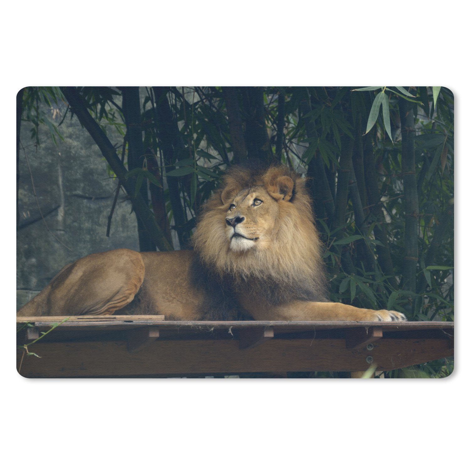 MuchoWow Mauspad (1-St), Mouse pad, Gaming Deko, PC Zubehör, 27x18 cm