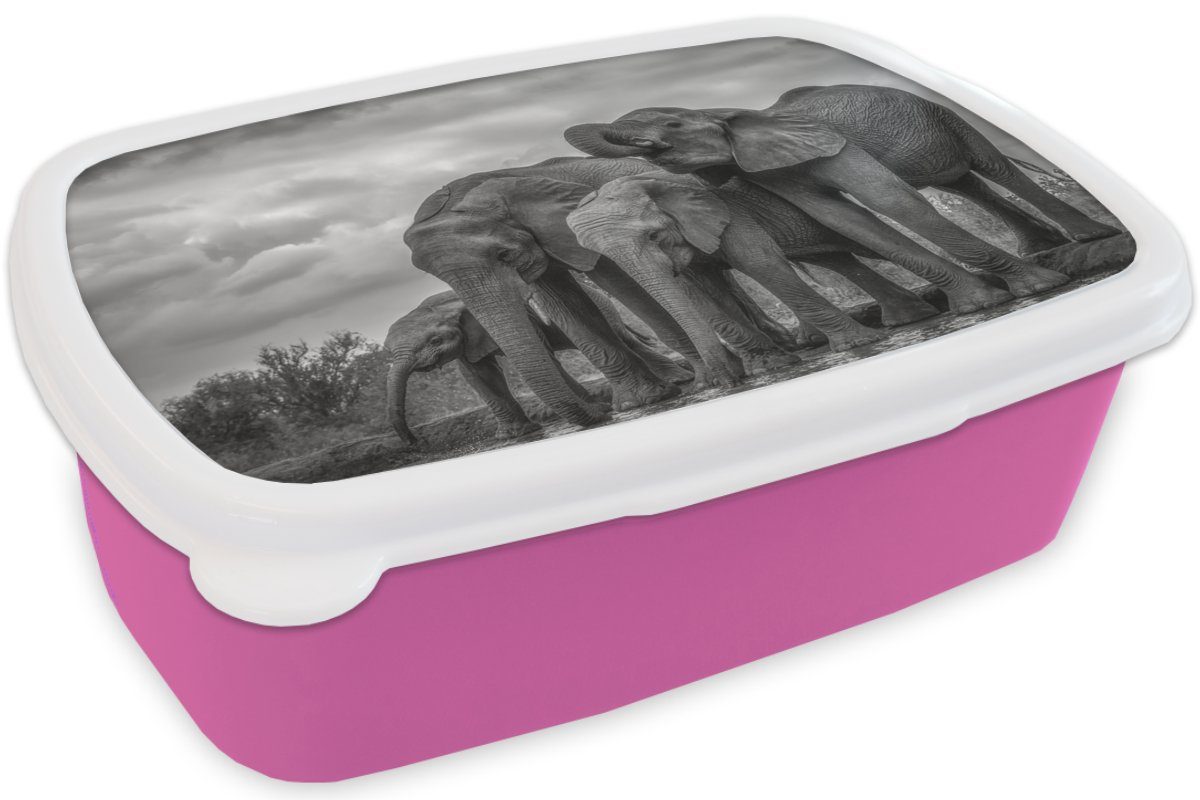 MuchoWow Lunchbox Elefant Schwarz Erwachsene, Tiere weiß, Kunststoff, Kunststoff für Brotdose Mädchen, und Kinder, - (2-tlg), Brotbox rosa Wasser - - Snackbox