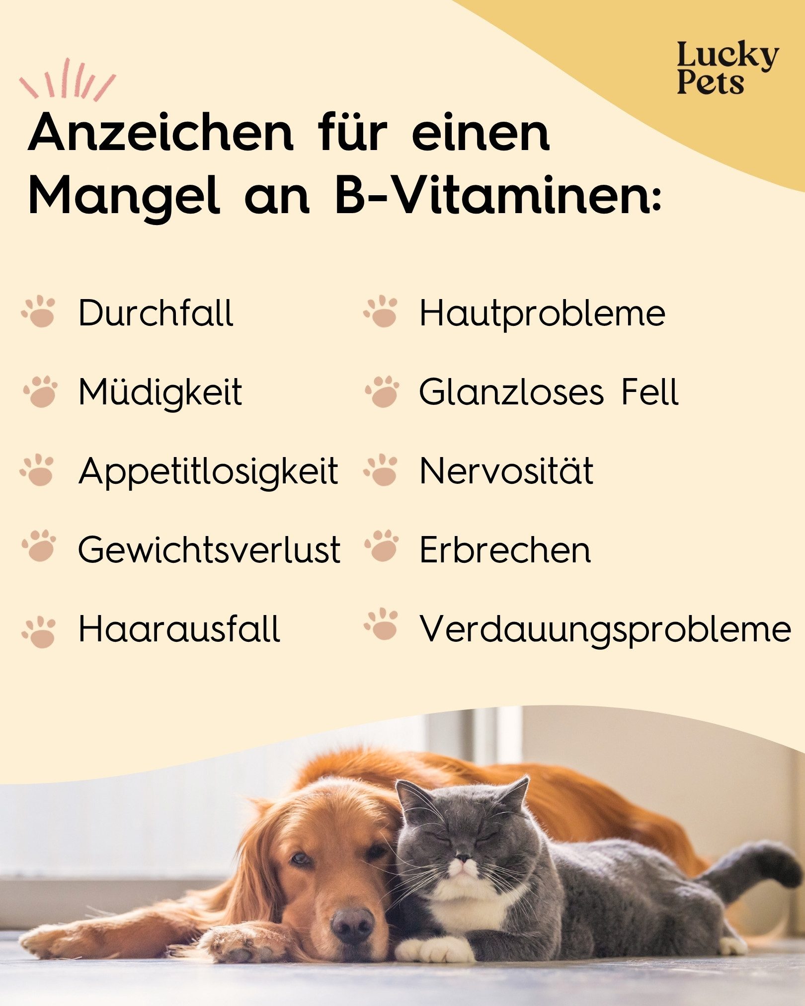 Lucky Pets Vitamin B Komplex für Hunde - hochdosiert, starkes Immunsystem, Nahrungsergänzungsmittel für: Hunde, Katzen