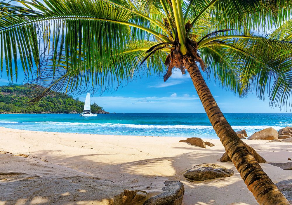 Castorland Puzzle Urlaub auf den Seychellen, günstig online kaufen