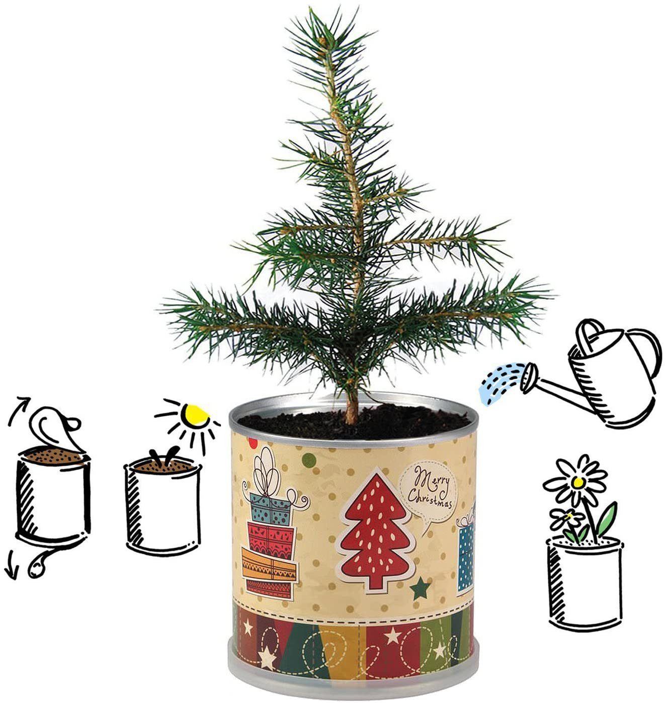 in Christmas der Dose nostalgisch Anzuchttopf - MacFlowers® Merry Weihnachtsbaum