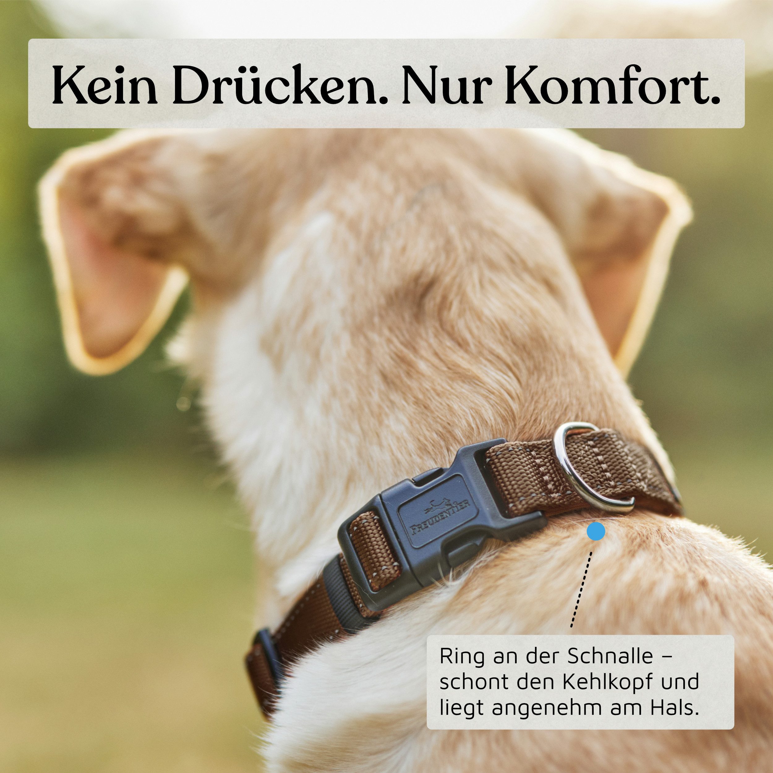 Freudentier Hunde-Halsband Hundehalsband - gepolstert & reflektierend - Clyde Kollektion