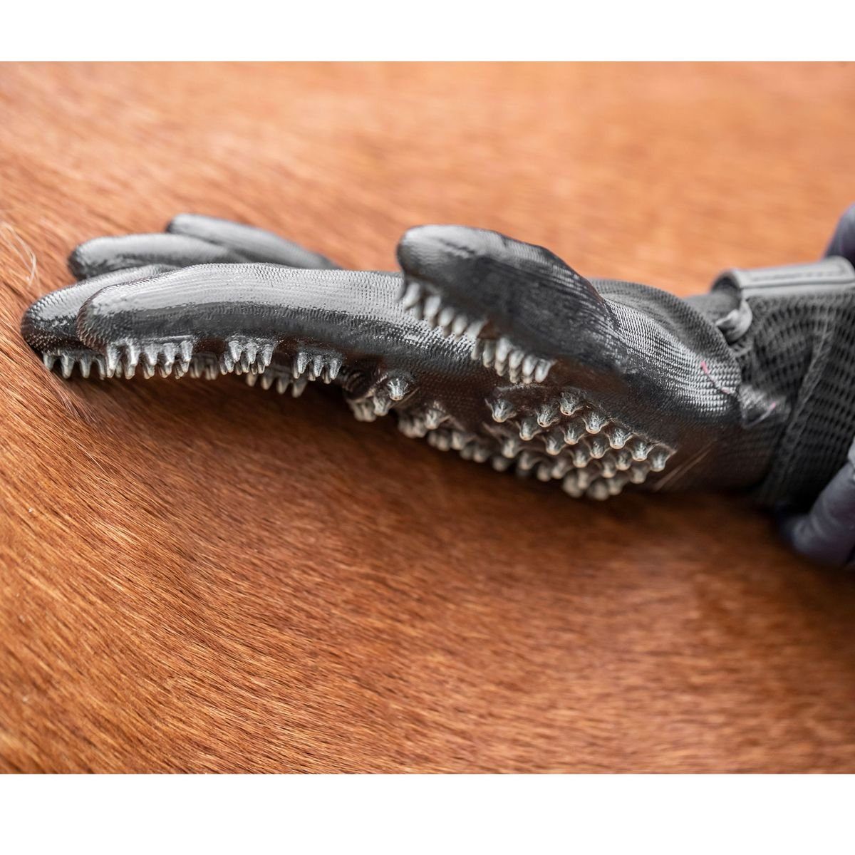 von und Pflegehandschuh USG Pferde Noppenstruktur spezielle schwarz für USG Putzhandschuh Hunde Putzhandschuhe