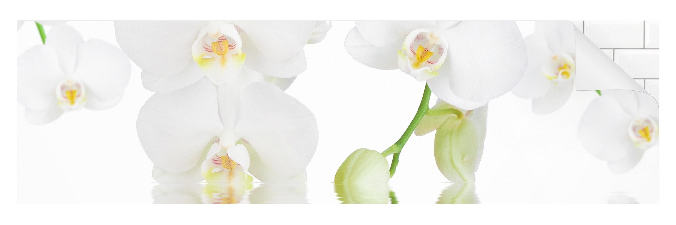 Bilderdepot24 Badrückwand weiss fugenlose Wandverkleidung Bad modern, (Hartfolie matt » Selbstklebend SMART 0,35 mm), wasserfestes Wandpaneel Wellness