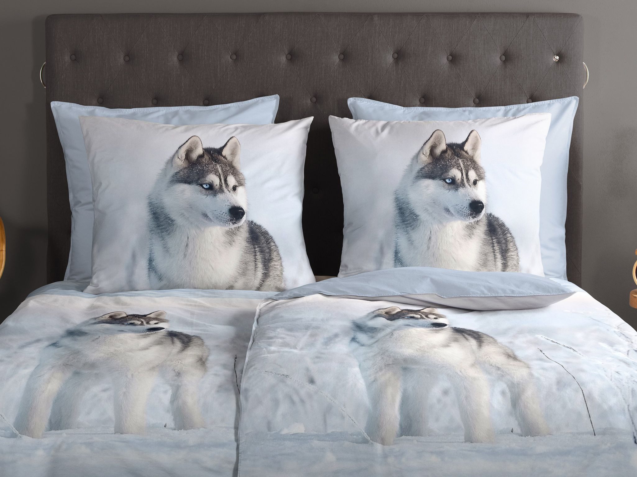 JACK Bettwäsche 135x200cm Arctic Dreams Husky Blue Eyes, Renforcé, 2 teilig, in einer wunderschönen Winterlandschaft – Bild 3 von 5