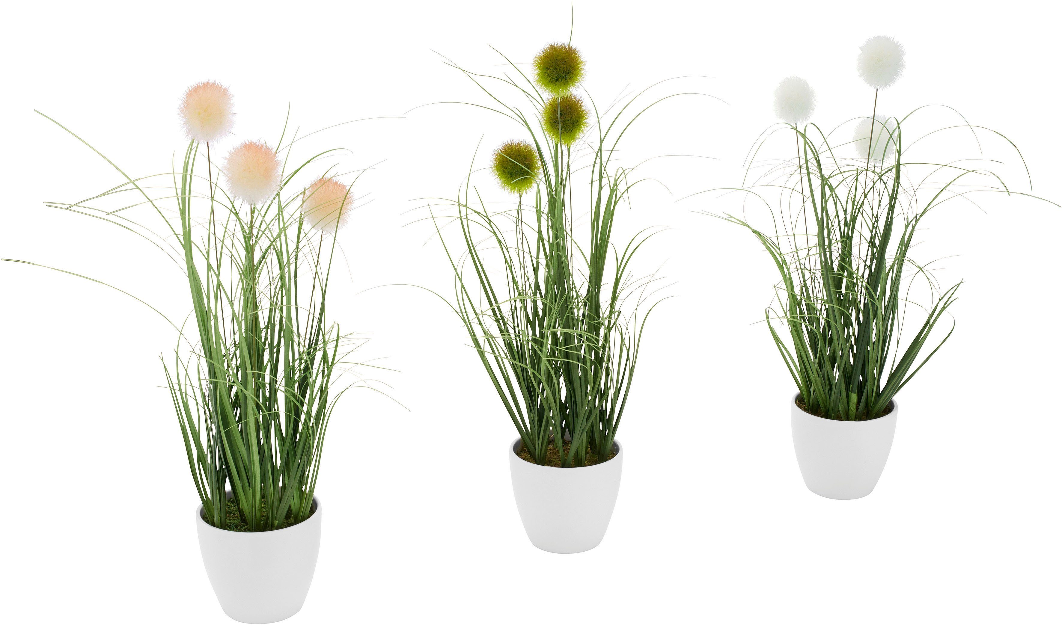 Kunstgras Grasbusch, naturgetreue Kunstpflanze, 35cm hoch, OTTO home, Höhe günstig online kaufen