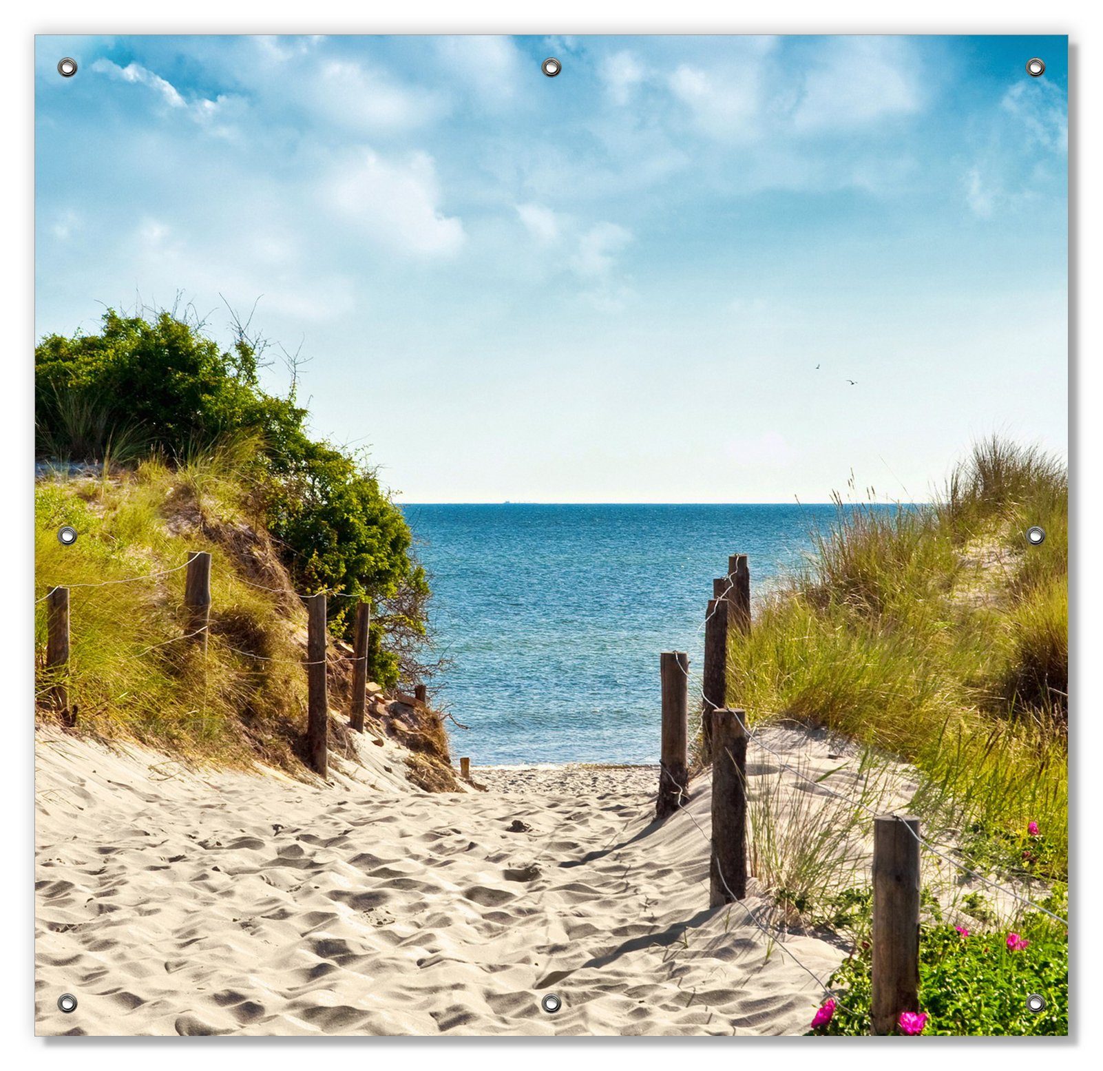 Sonnenschutz Auf dem Sandweg zum Strand, Wallario, blickdicht, mit Saugnäpfen, wiederablösbar und wiederverwendbar