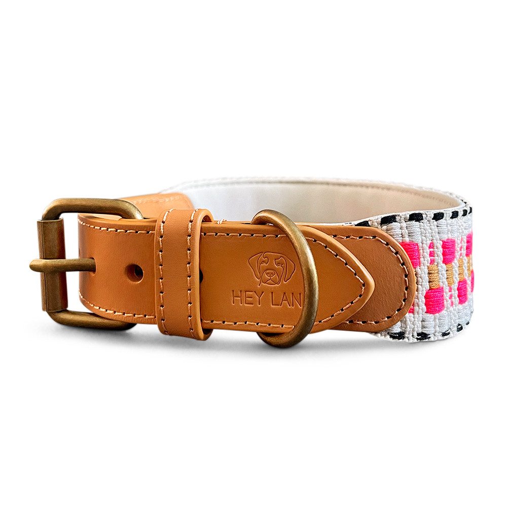 Hey Lana Hunde-Halsband Premium Hundehalsband Gepolstert