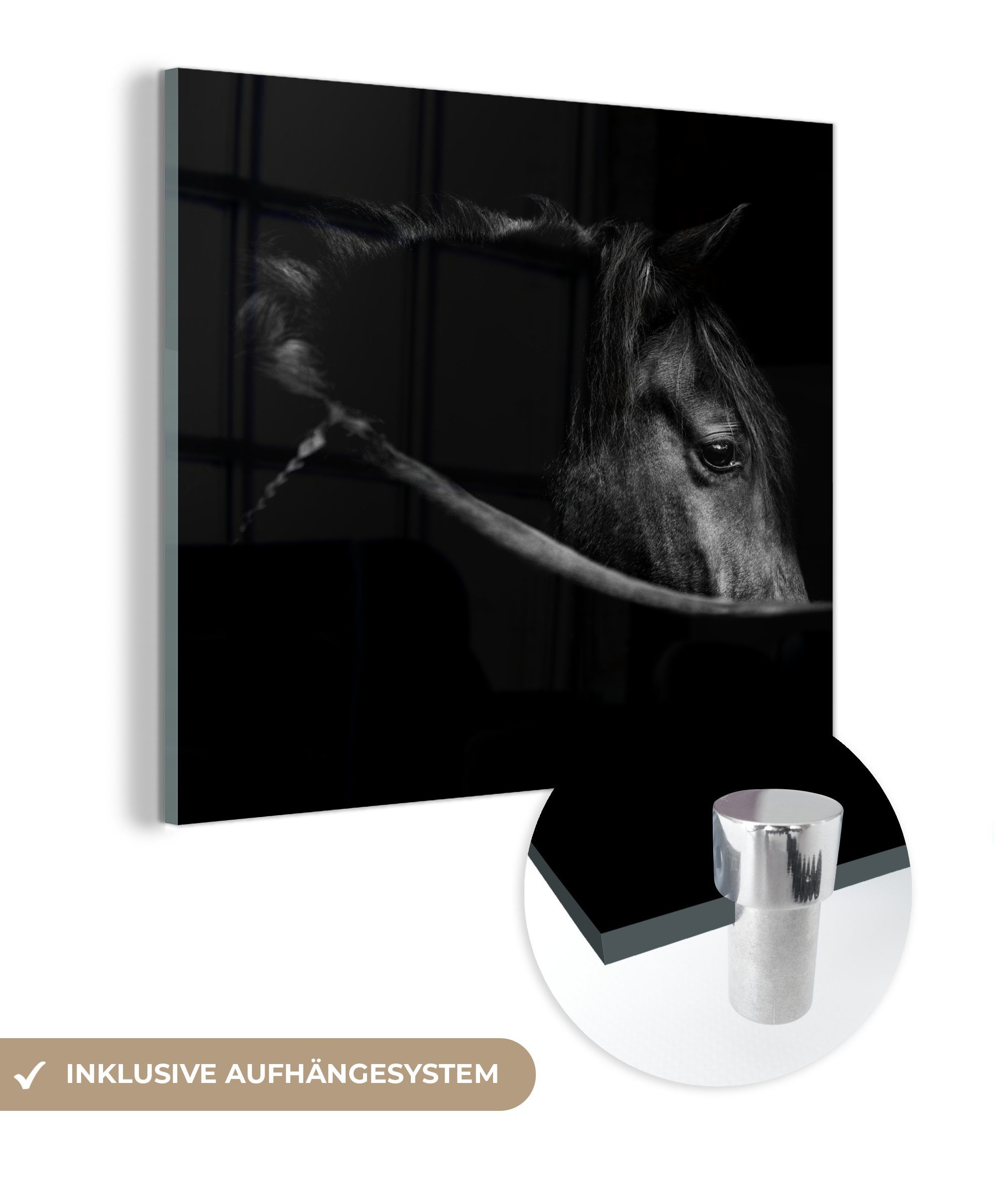 MuchoWow Acrylglasbild Pferde - Porträt - Schwarz - Tiere, Inkl. Aufhängung, Bilder auf Glas Wandbild, Wanddeko Wohnzimmer Badezimmer, 20x20 cm
